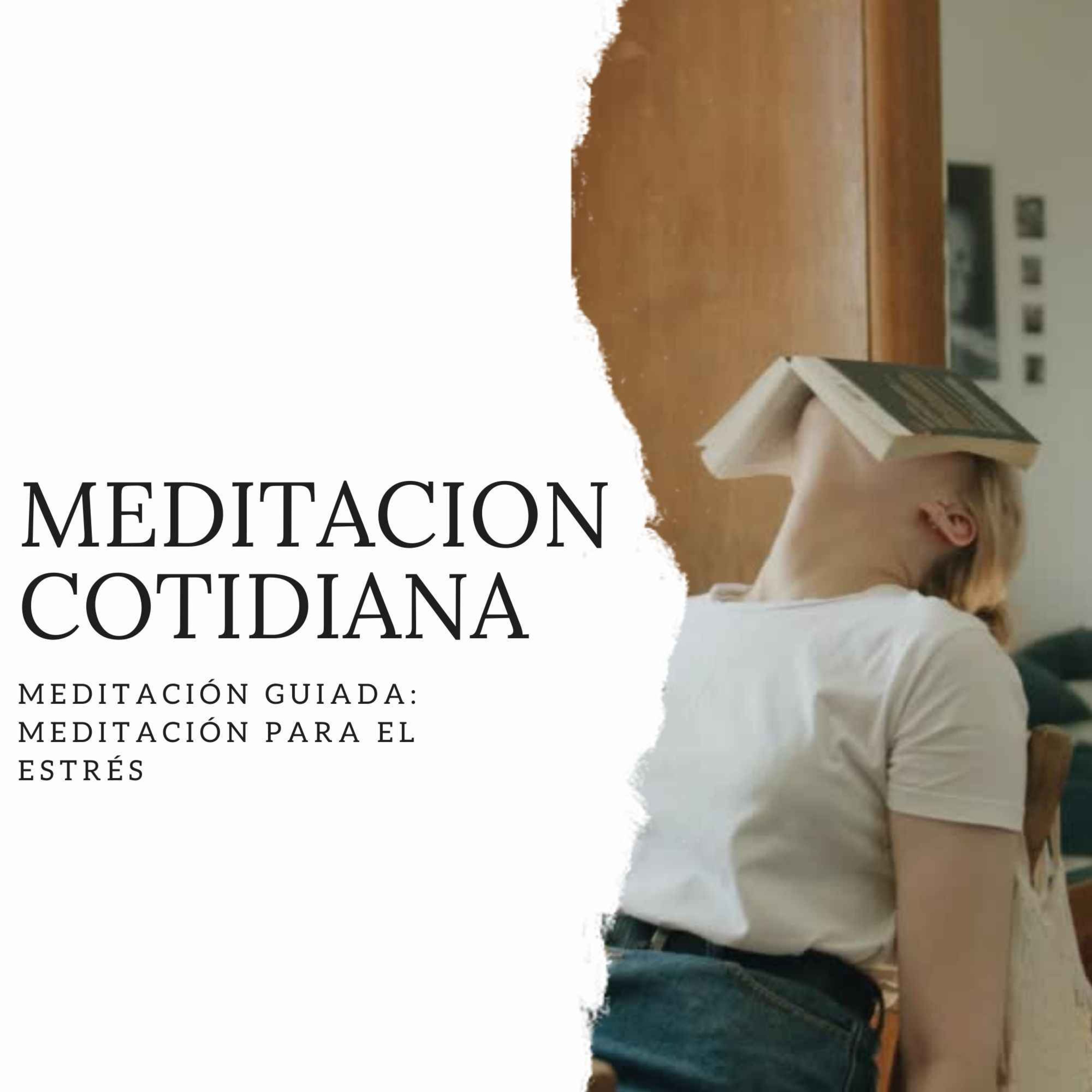 Meditación Cotidiana - Curso de Meditación