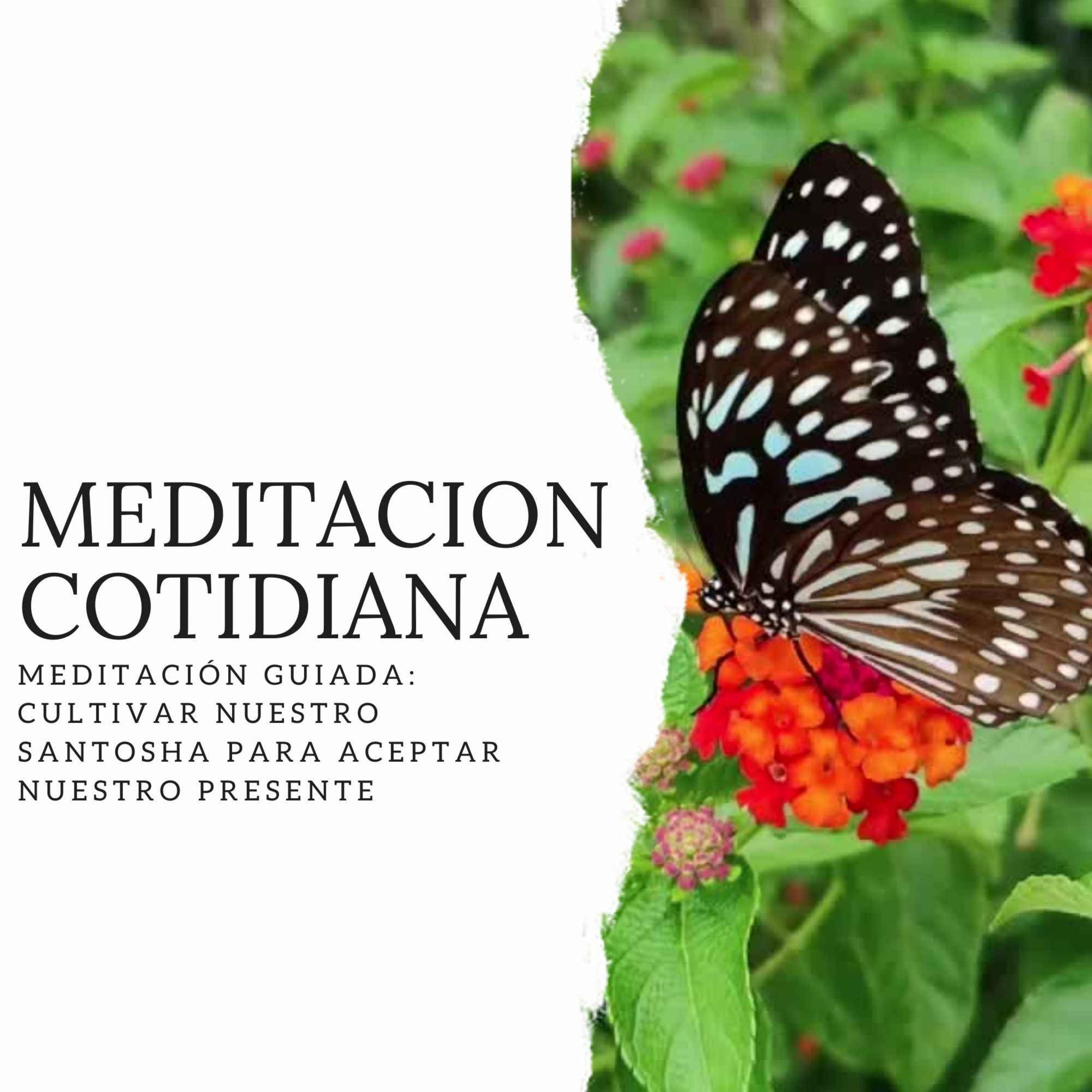Meditación Cotidiana - Curso de Meditación