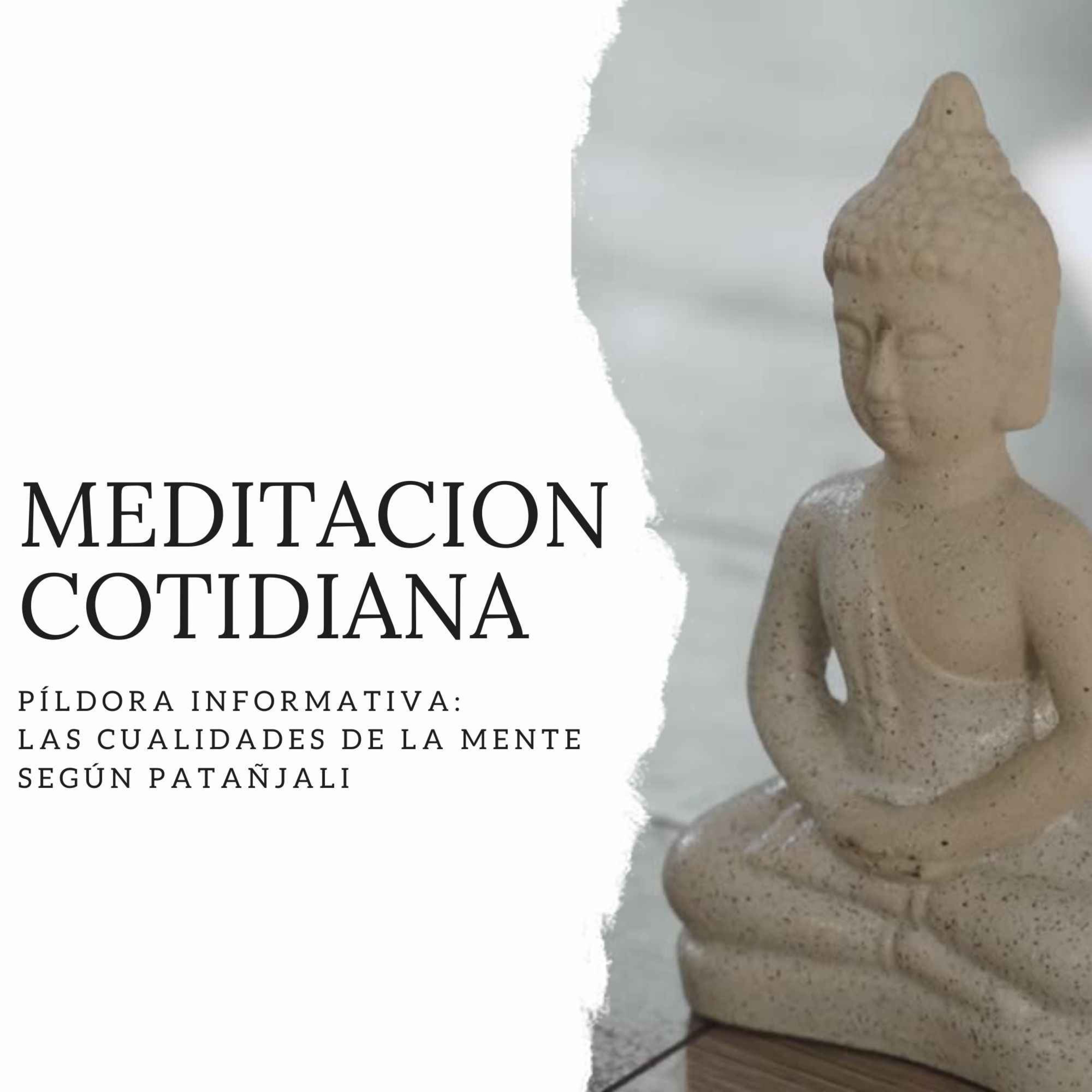 Meditación Cotidiana - Curso de Meditación