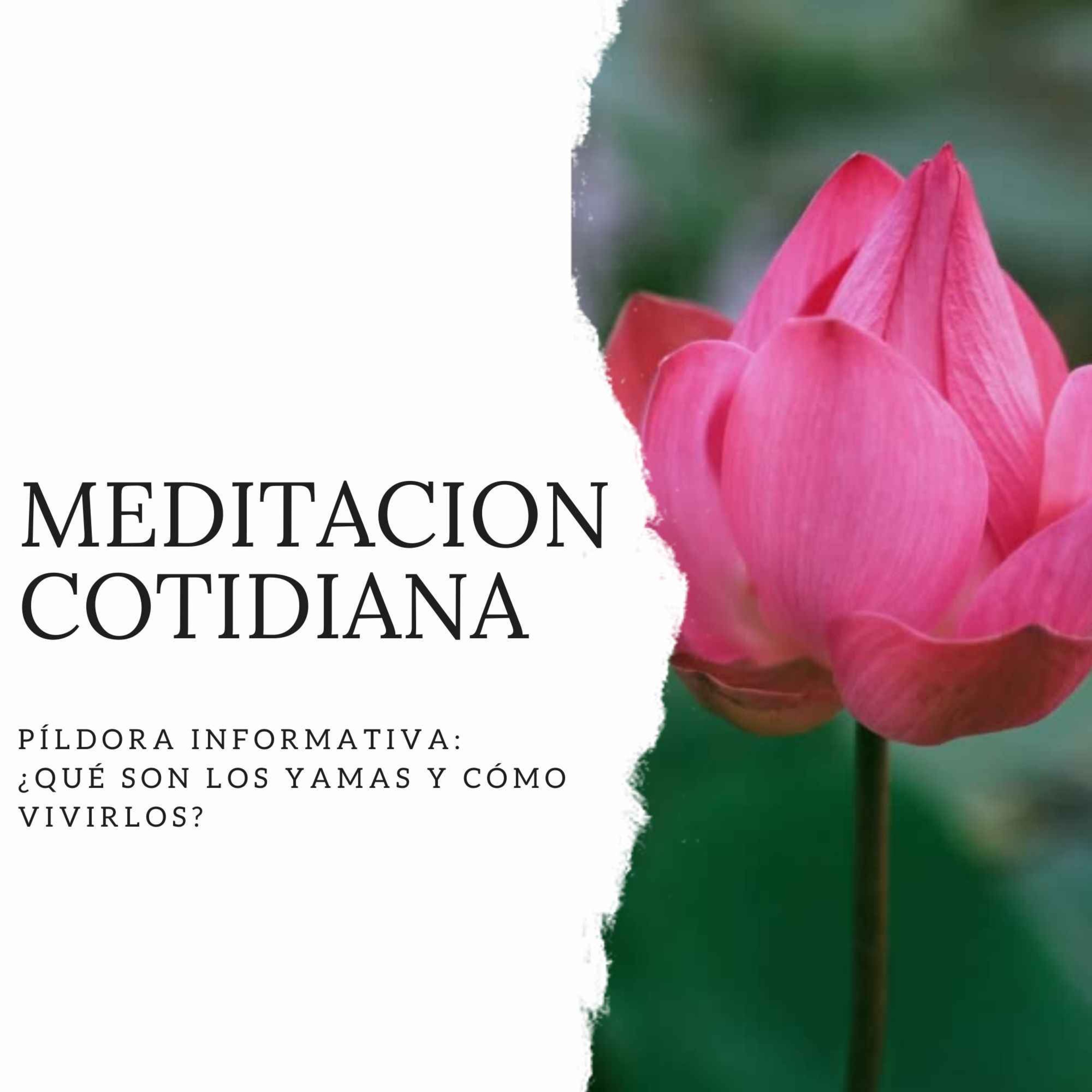 Meditación Cotidiana - Curso de Meditación