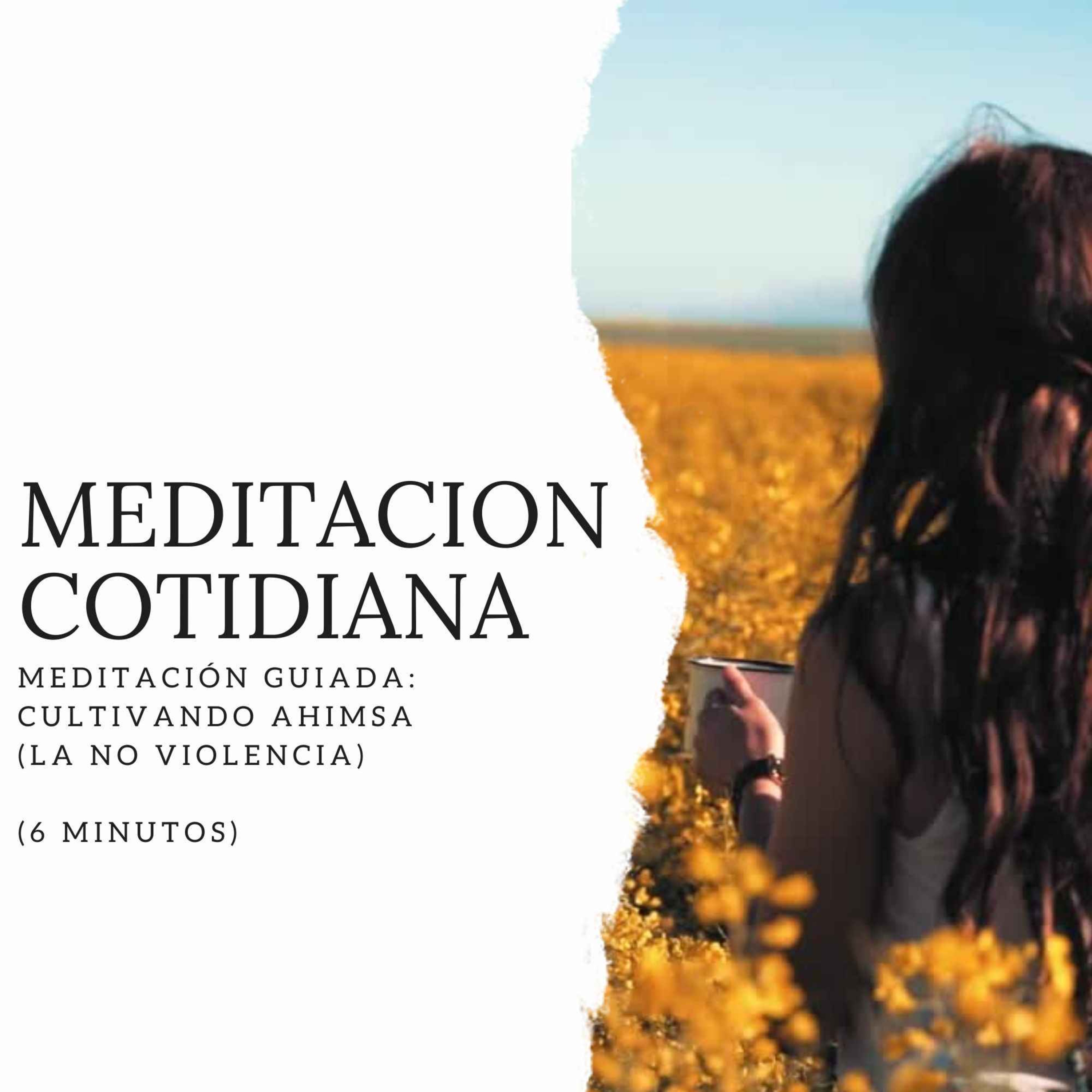Meditación Cotidiana - Curso de Meditación