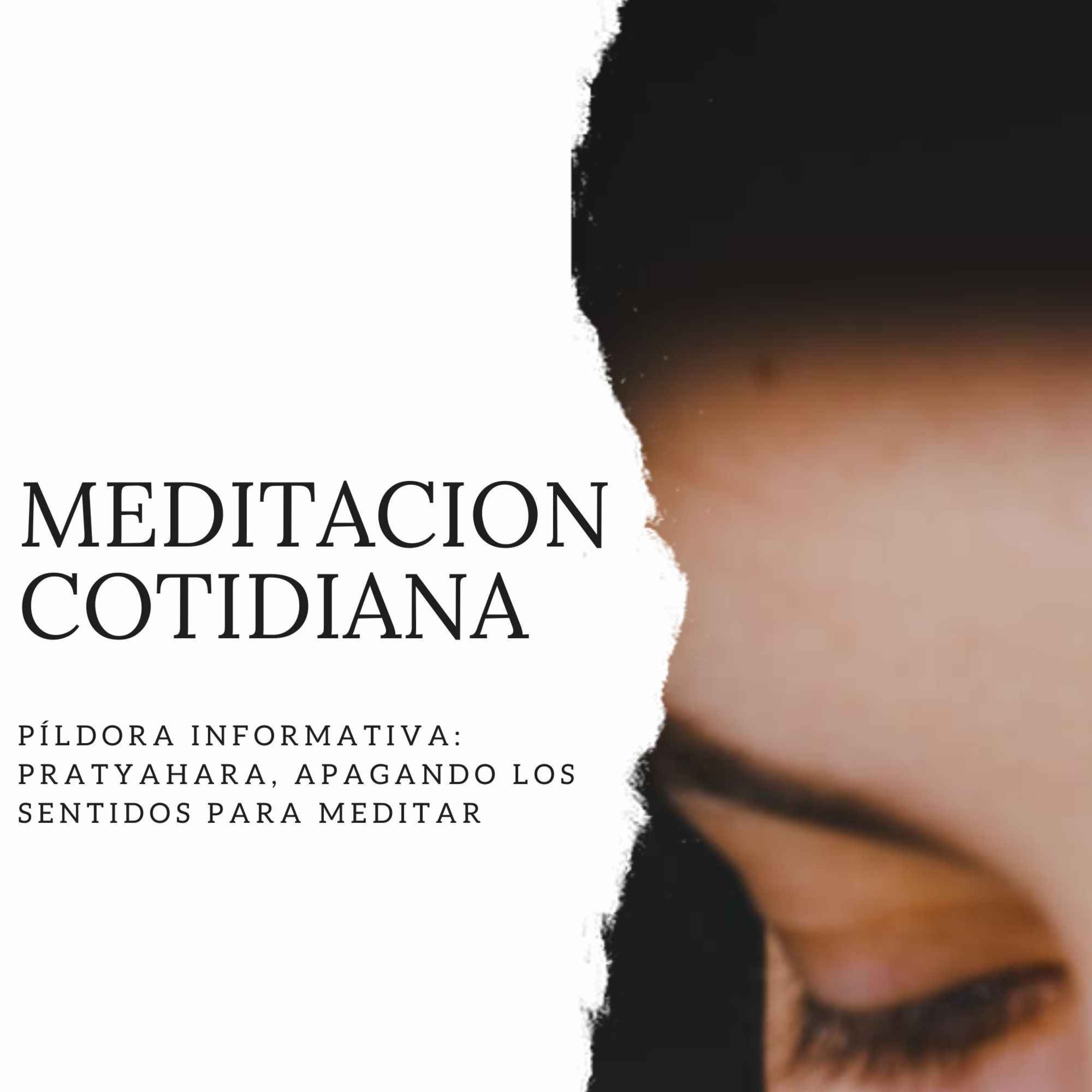 Meditación Cotidiana - Curso de Meditación