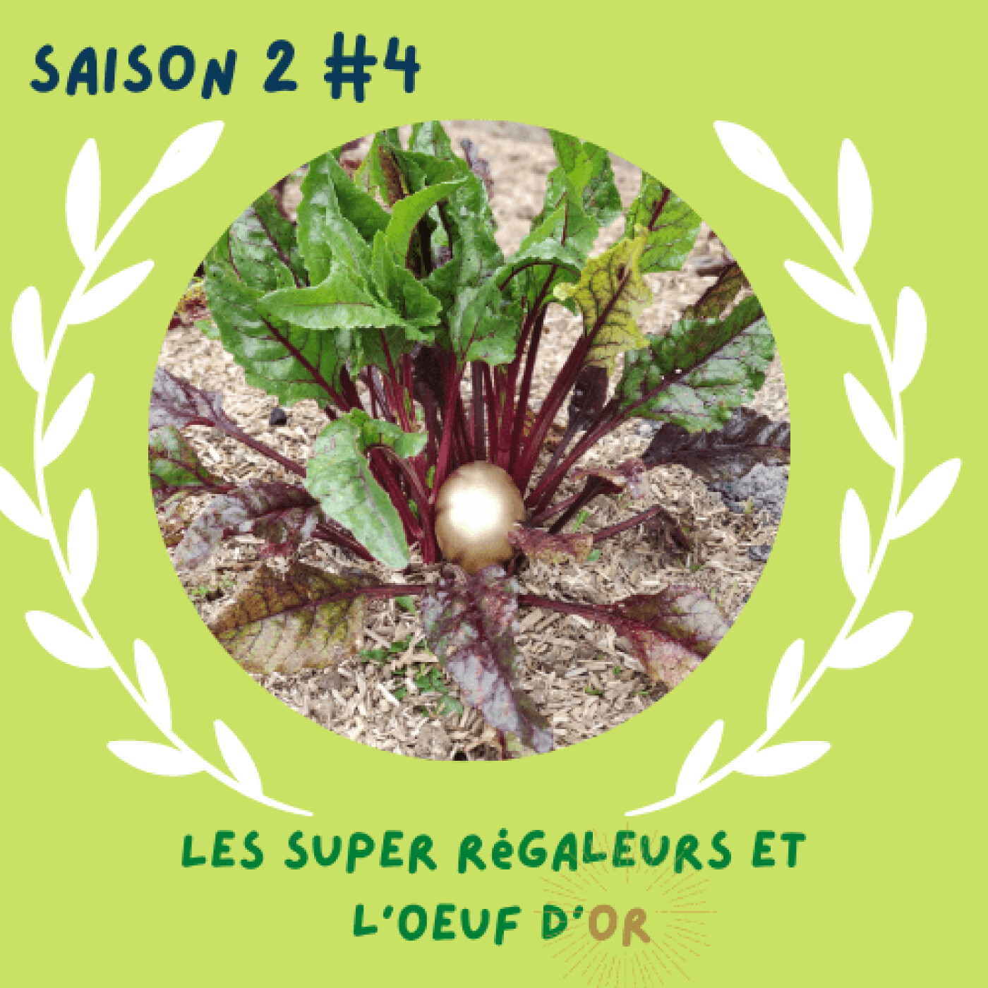 LES SUPER REGALEURS