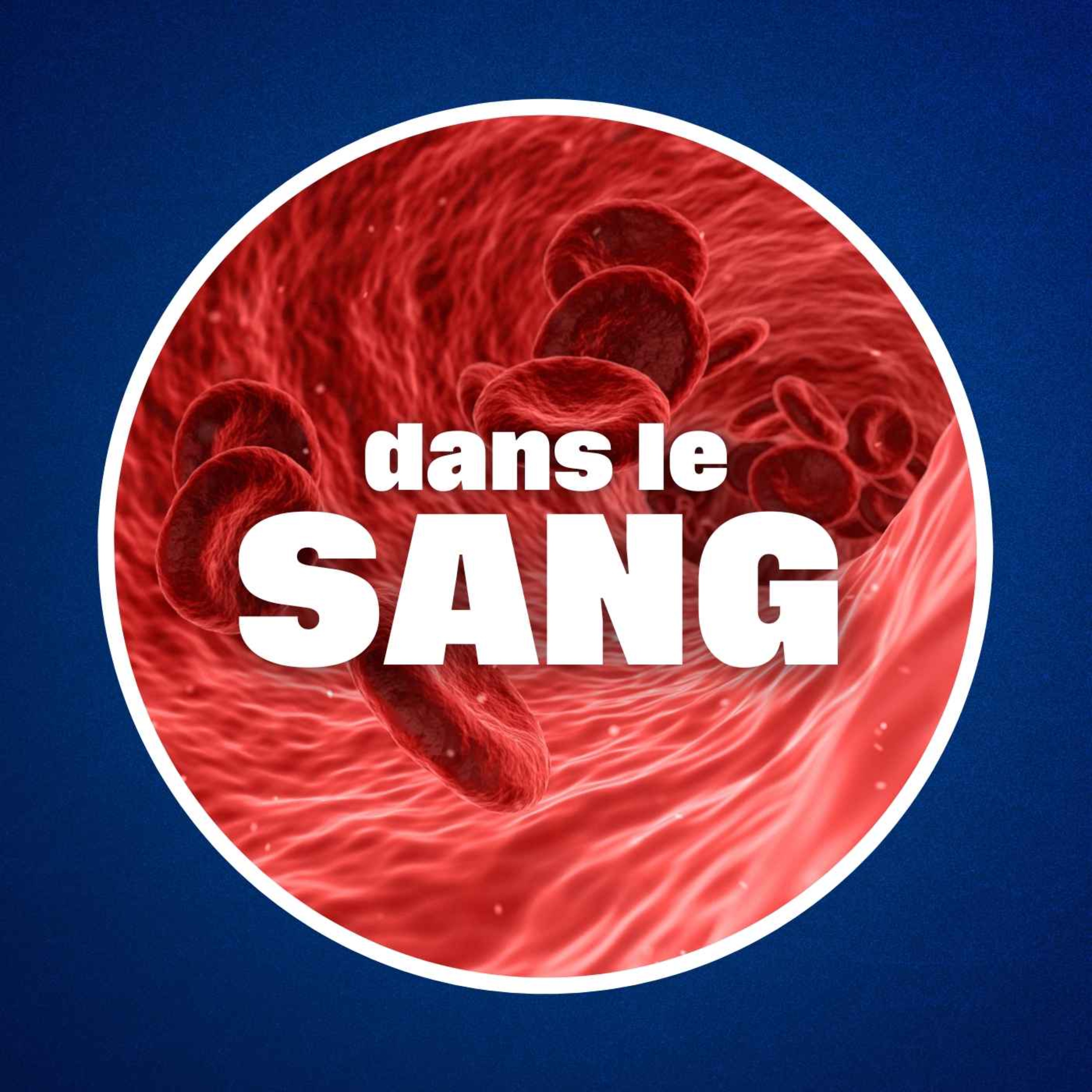 De quoi le sang est-il composé ?