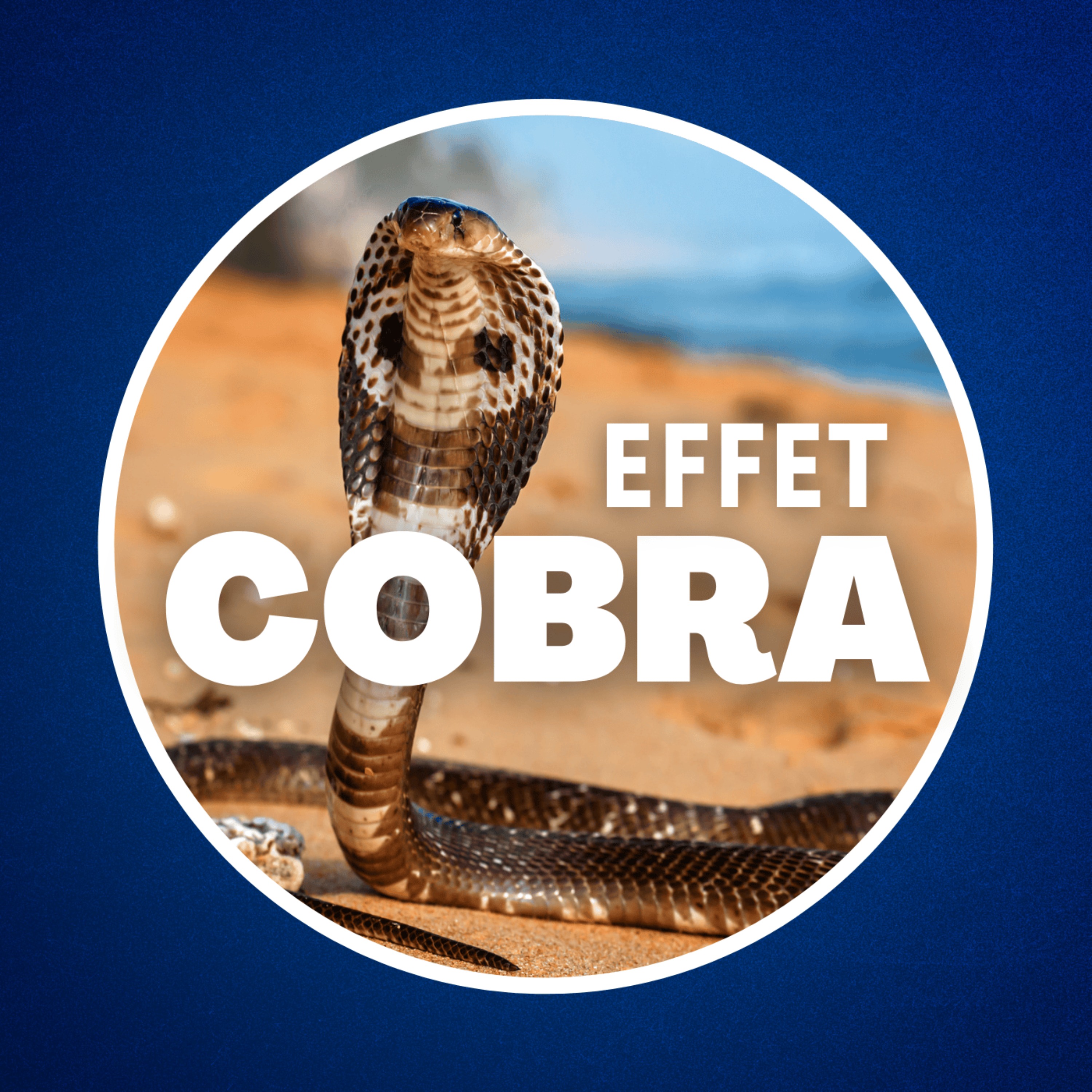 Qu'est-ce que l'effet Cobra ? 🐍 (Il nous menace tous...)