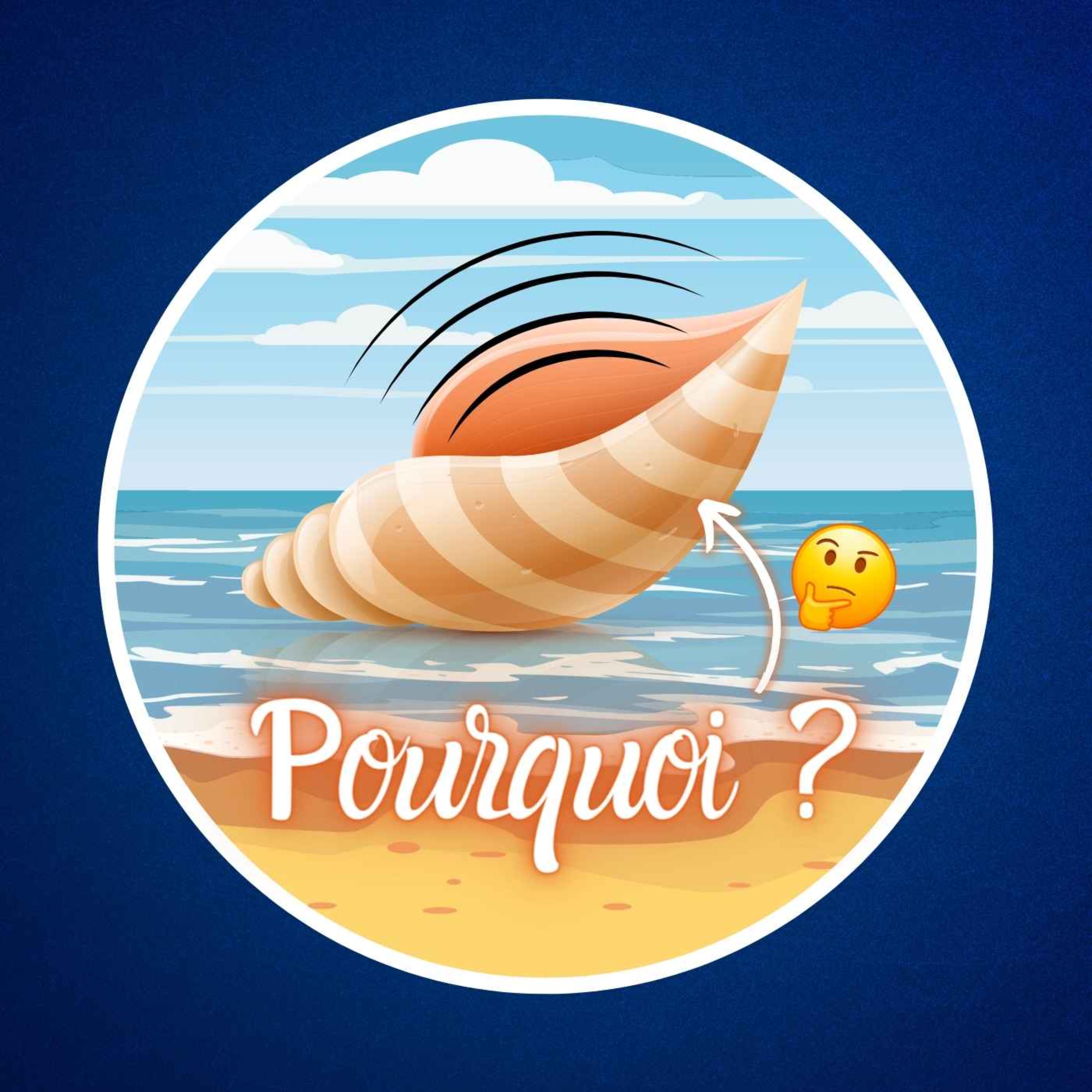 Qu’entend-on vraiment dans un coquillage ? 🐚 (Spoiler : pas la mer...)