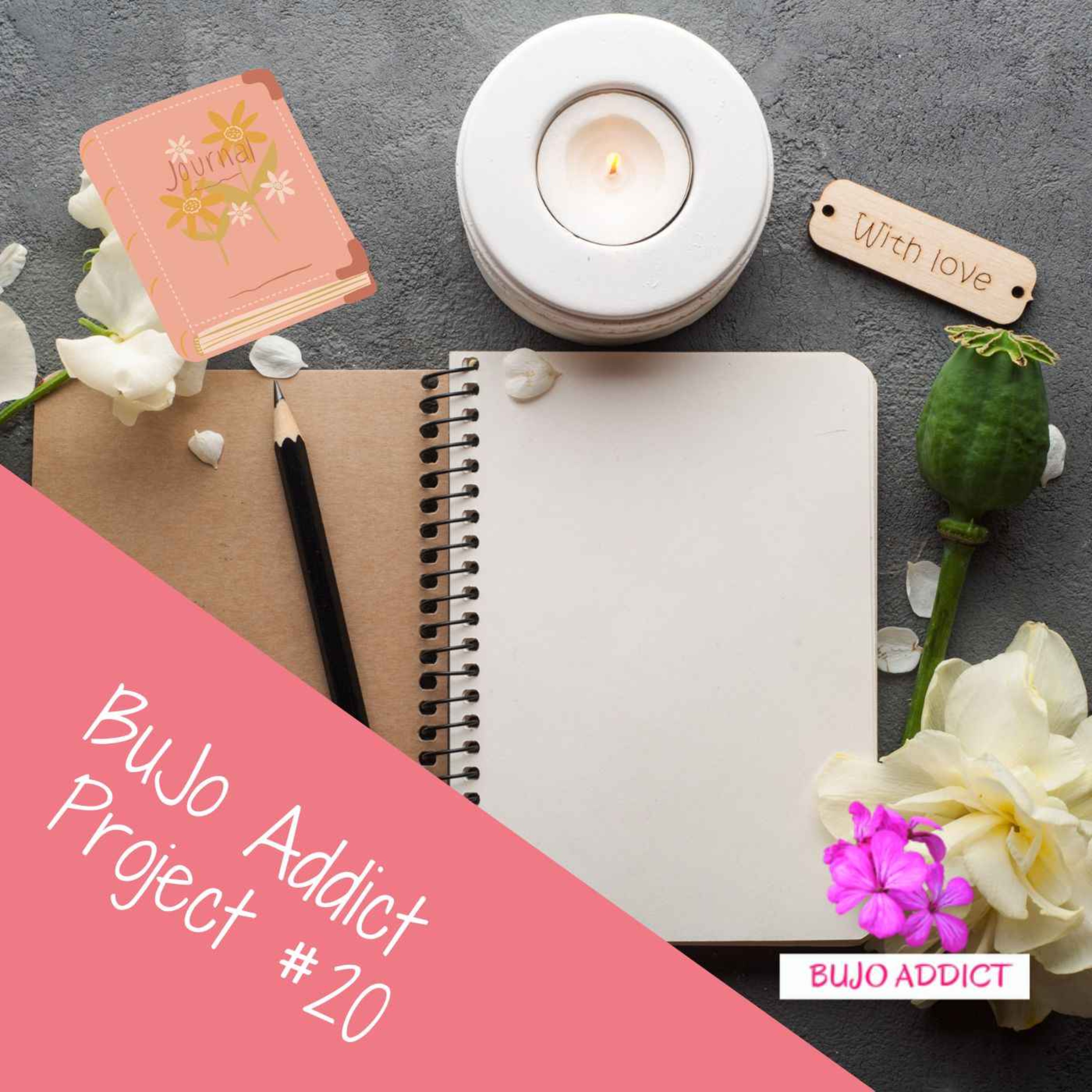 ✨ Mon Bullet Journal de janvier 2025 ✨