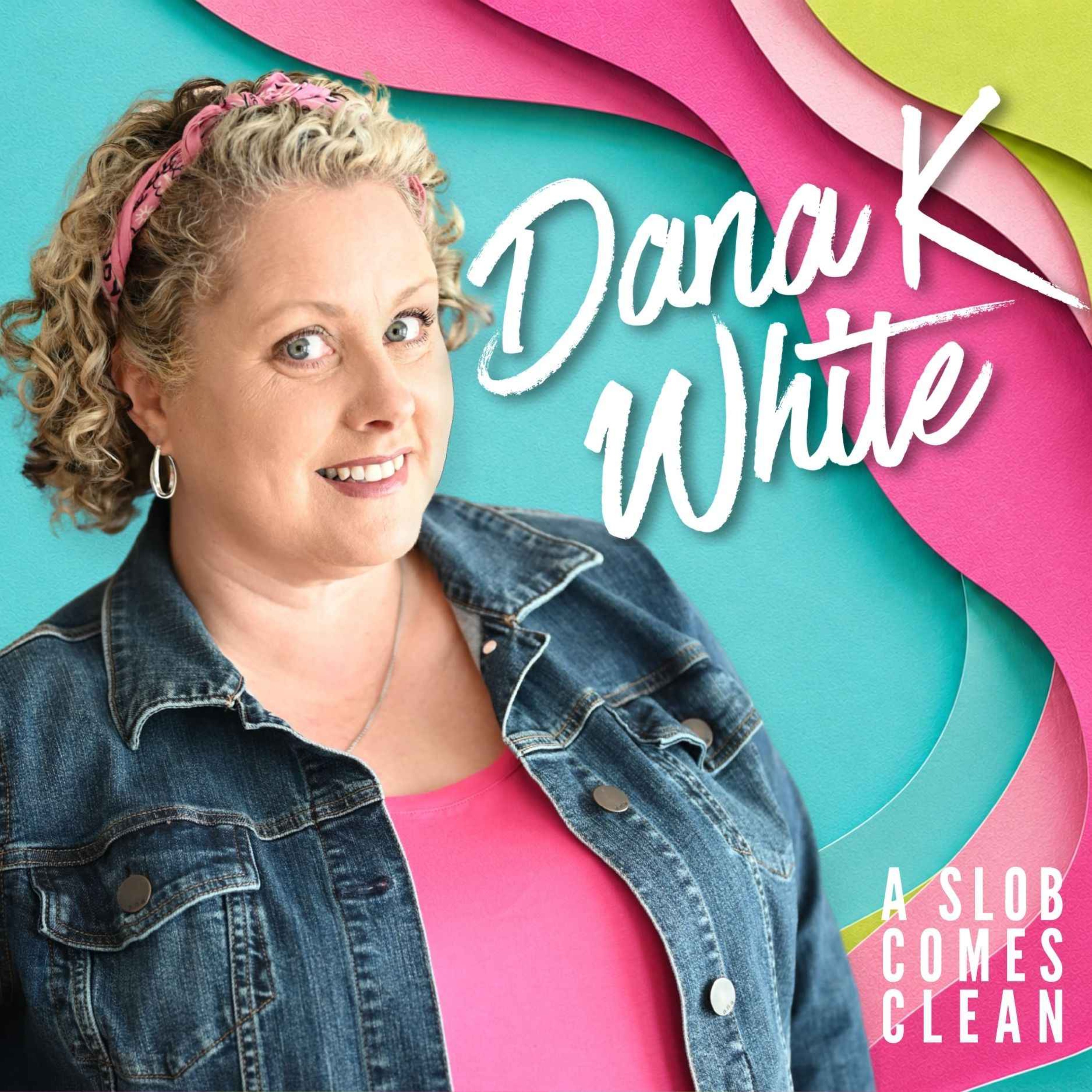 Dana K White: A Slob Comes Clean