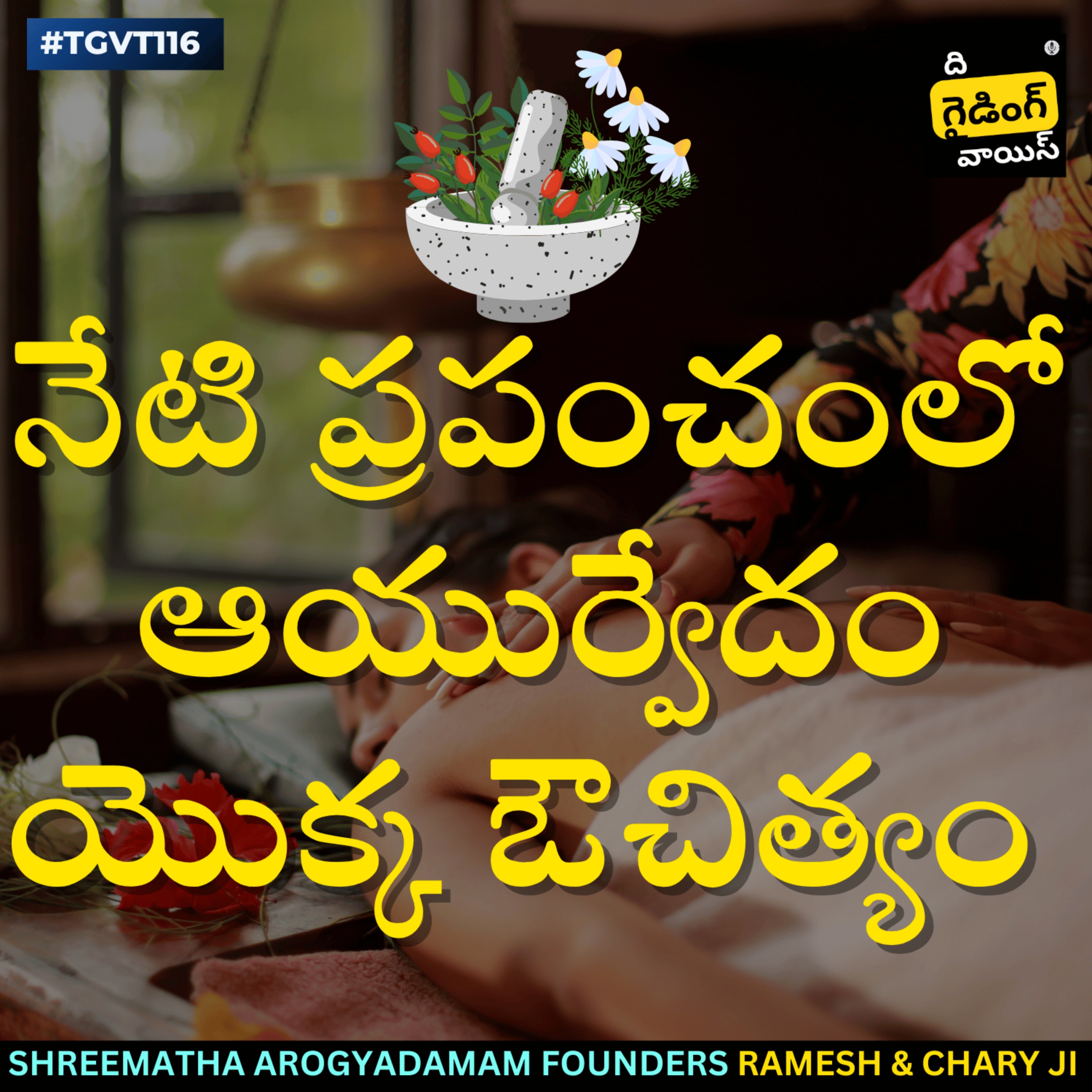 Relevance of ayurveda in today's world | నేటి ప్రపంచంలో ఆయుర్వేదం యొక్క ఔచిత్యం | Ramesh Prathap & Brahma Chary | #TGVT116 episode artwork