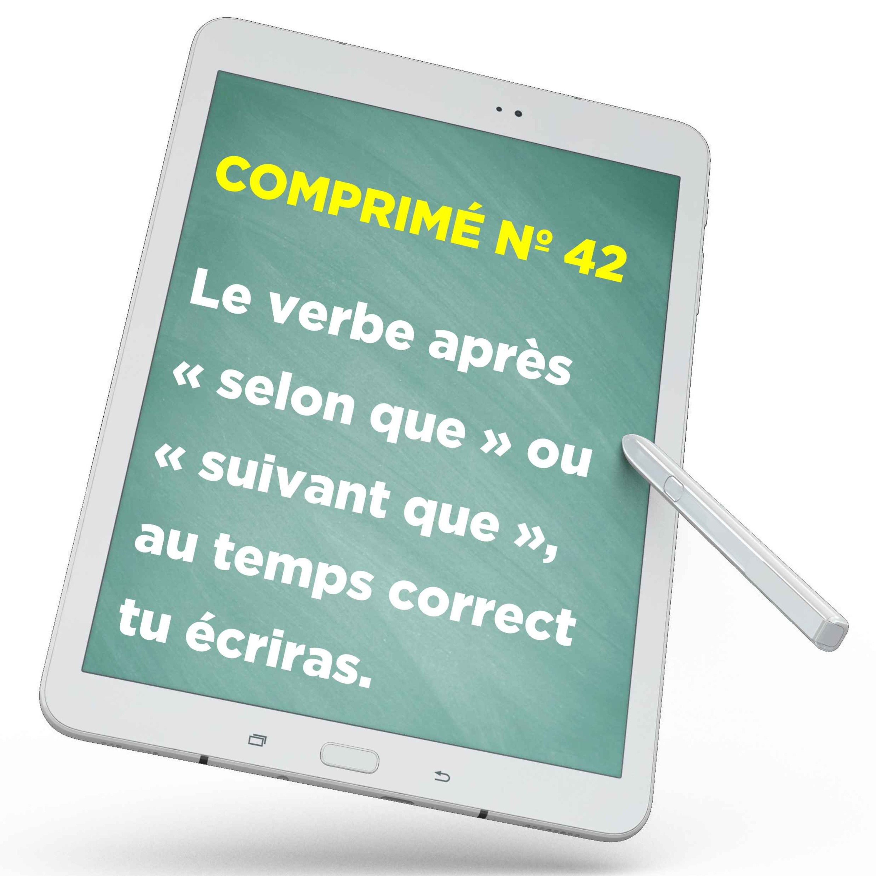 Le verbe après « selon que » ou « suivant que », au temps correct tu écriras.