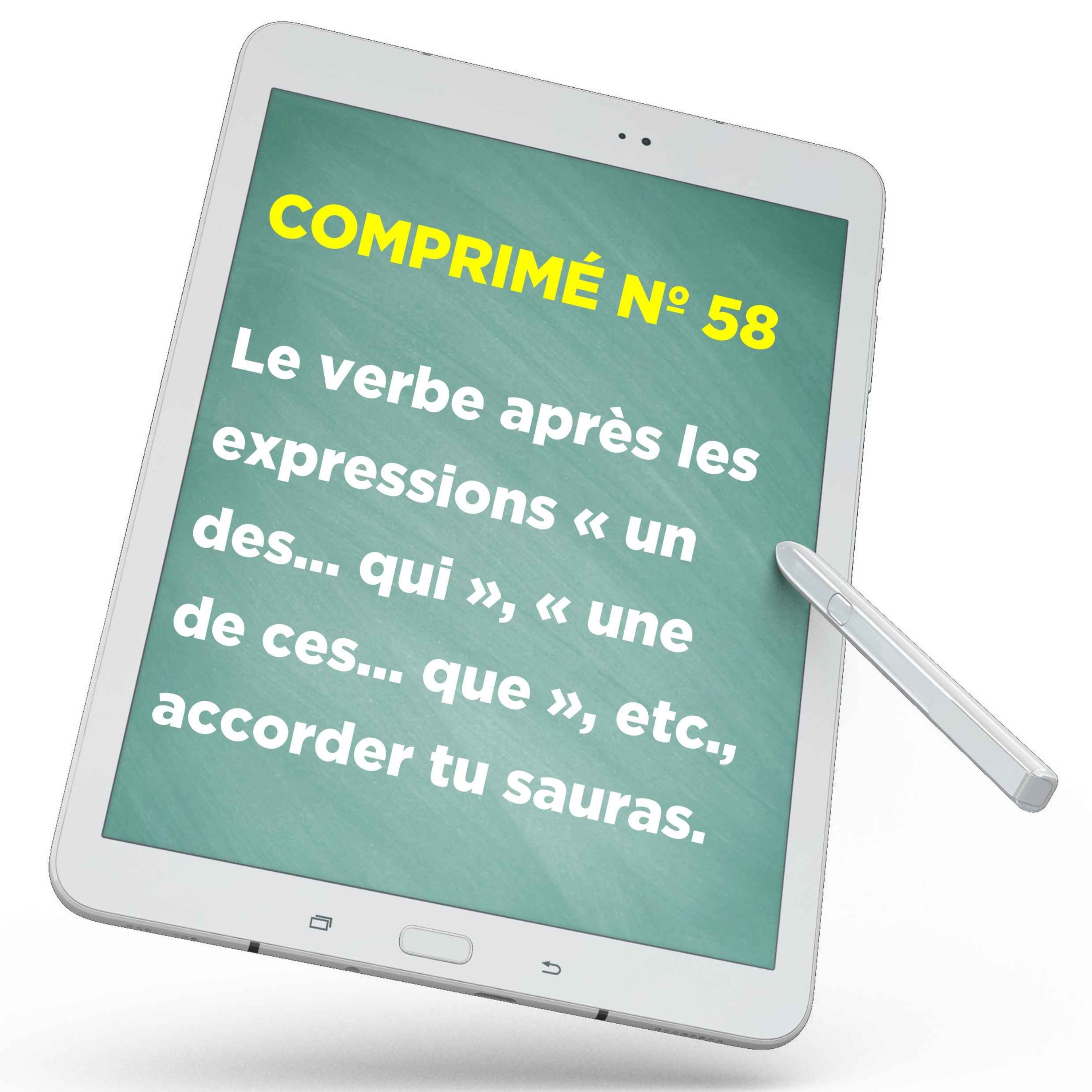 Le verbe après les expressions « un des… qui », « une de ces… que », etc., accorder tu sauras.