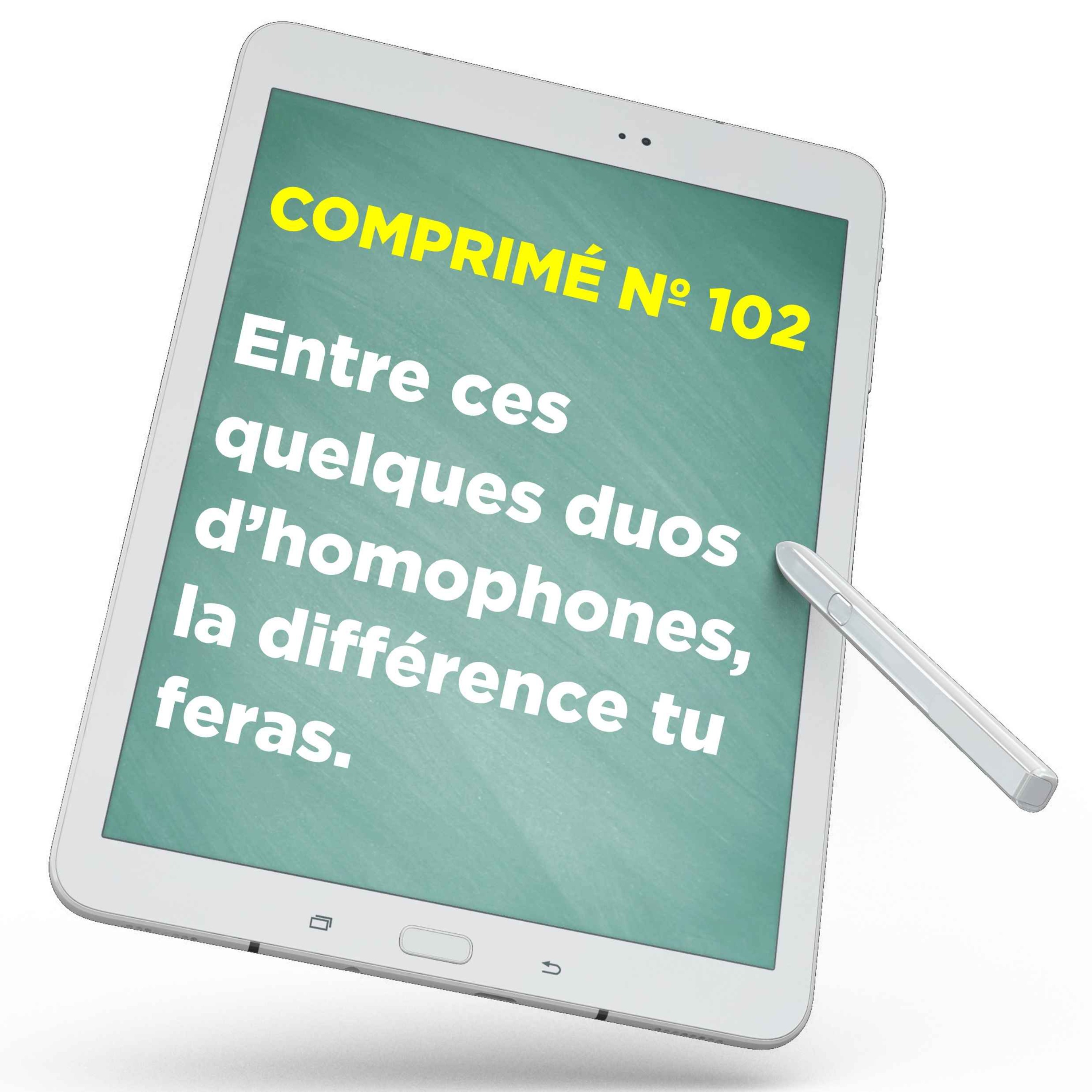 Entre ces quelques duos d’homophones, la différence tu feras.