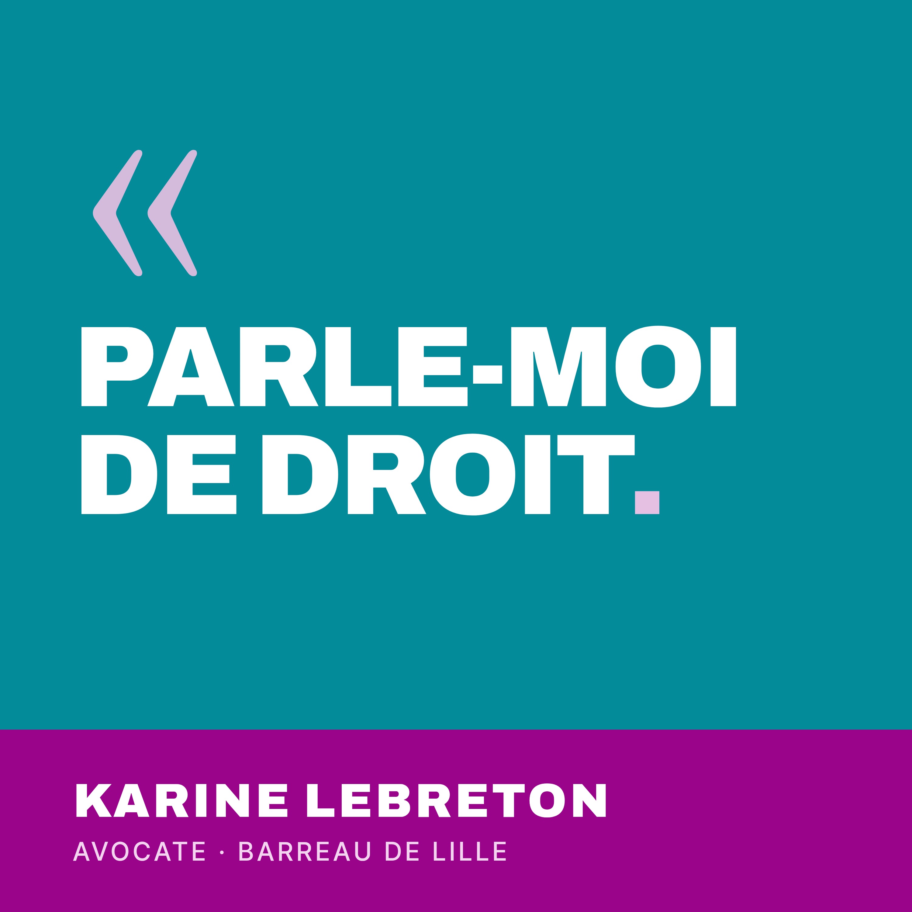 Artwork for PARLE-MOI DE DROIT