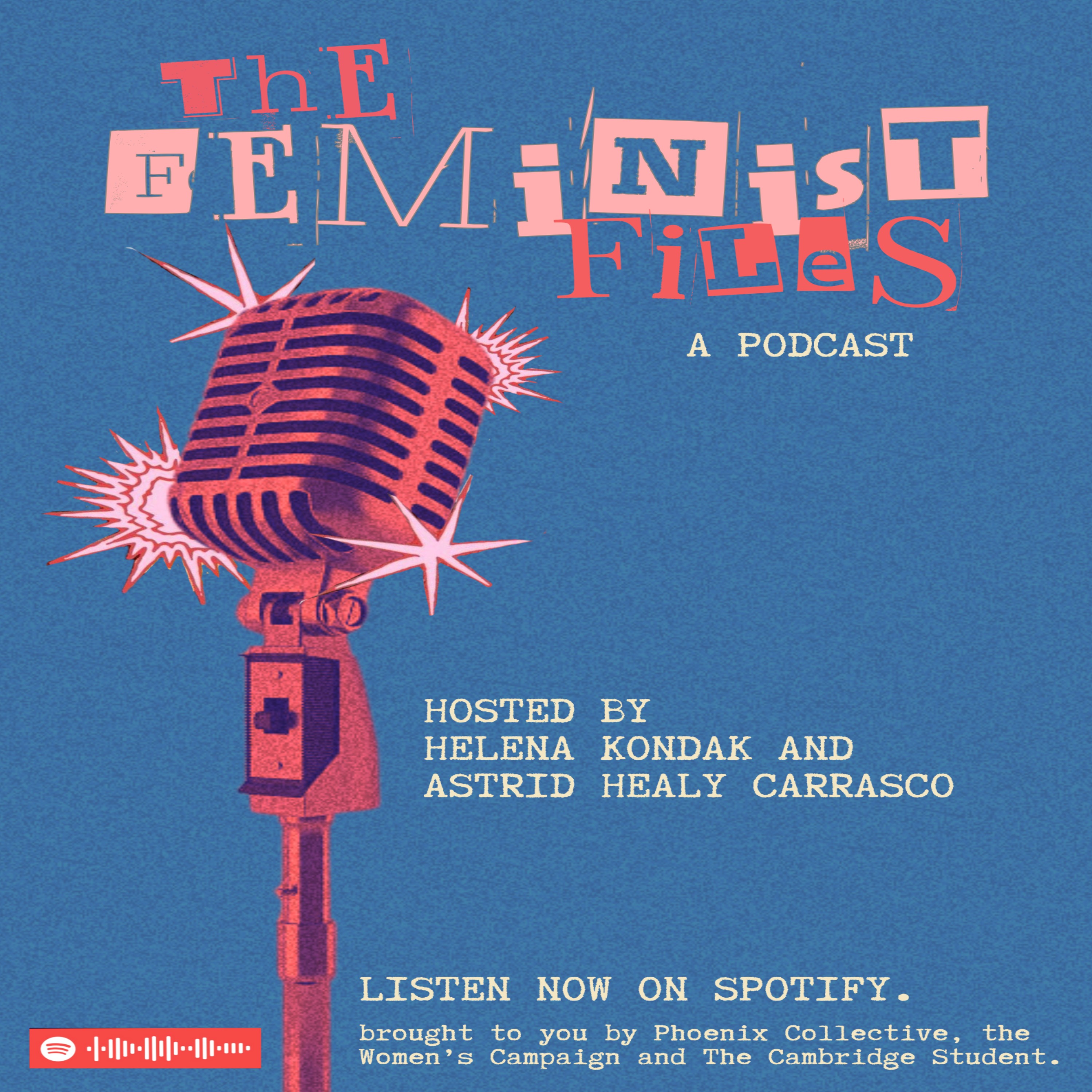 The Feminist Files - Intersectional Feminisms: Gendered Islamophobia & Black Feminist Praxis episode artwork