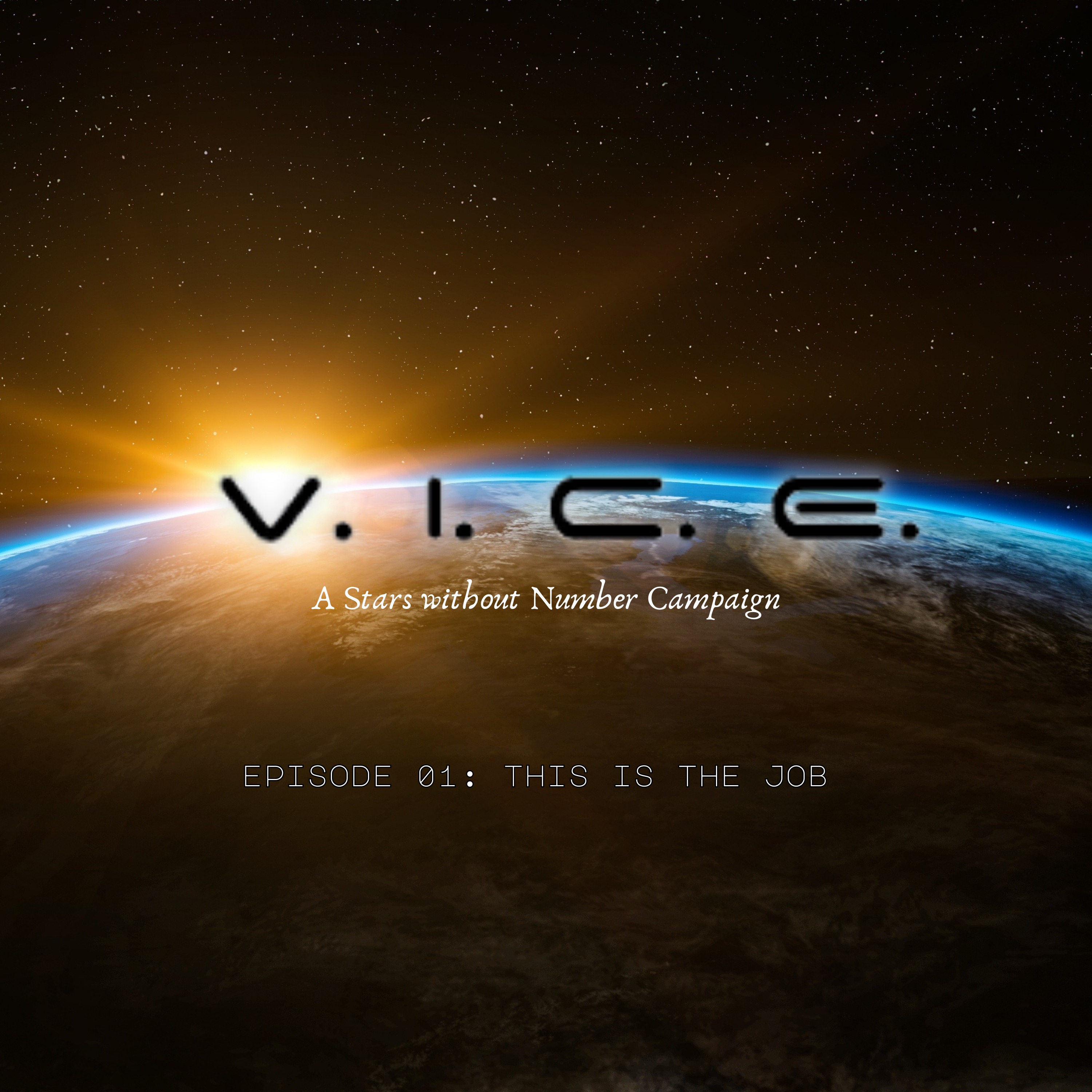cover art for V.I.C.E.: This is the Job