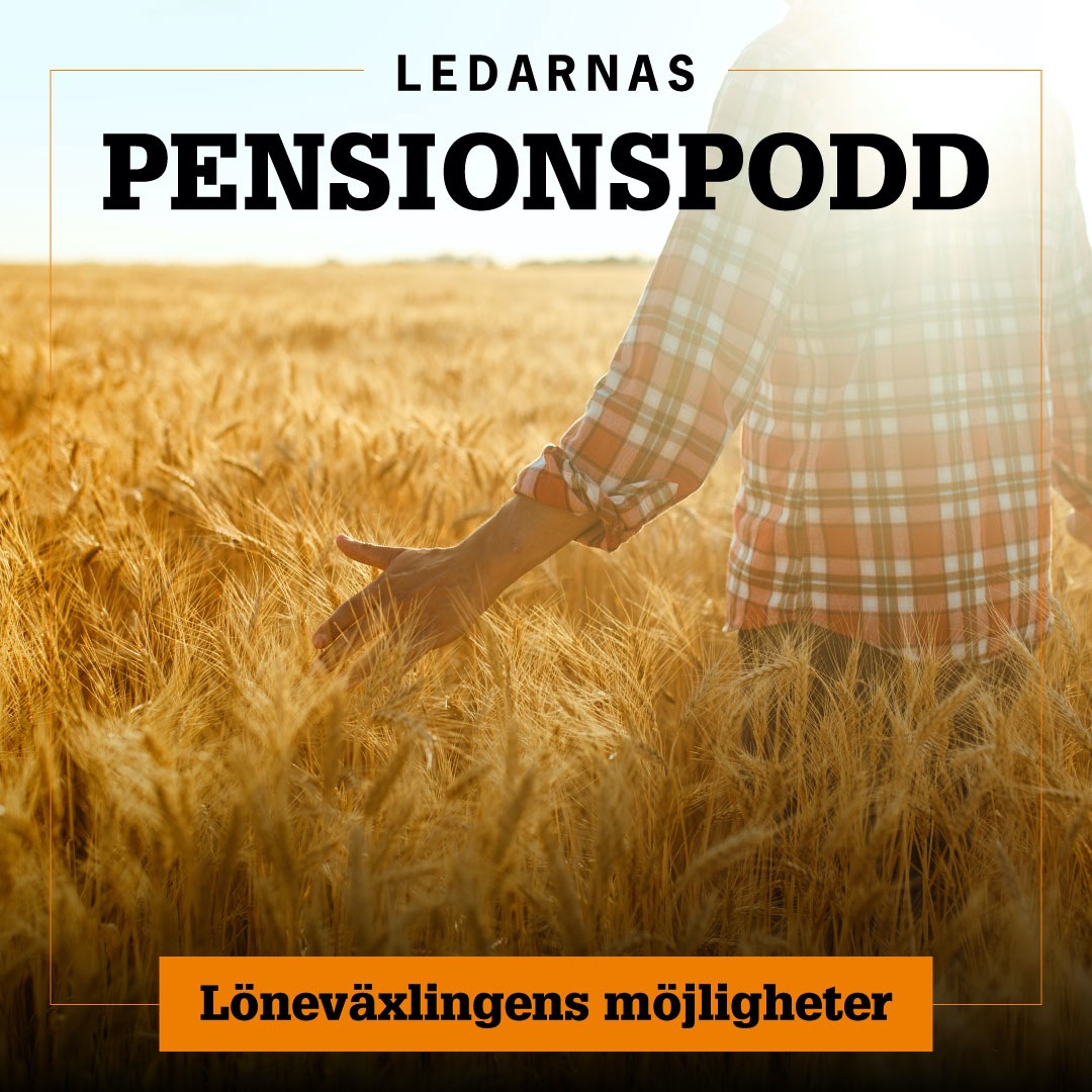 Ledarskap för chefer