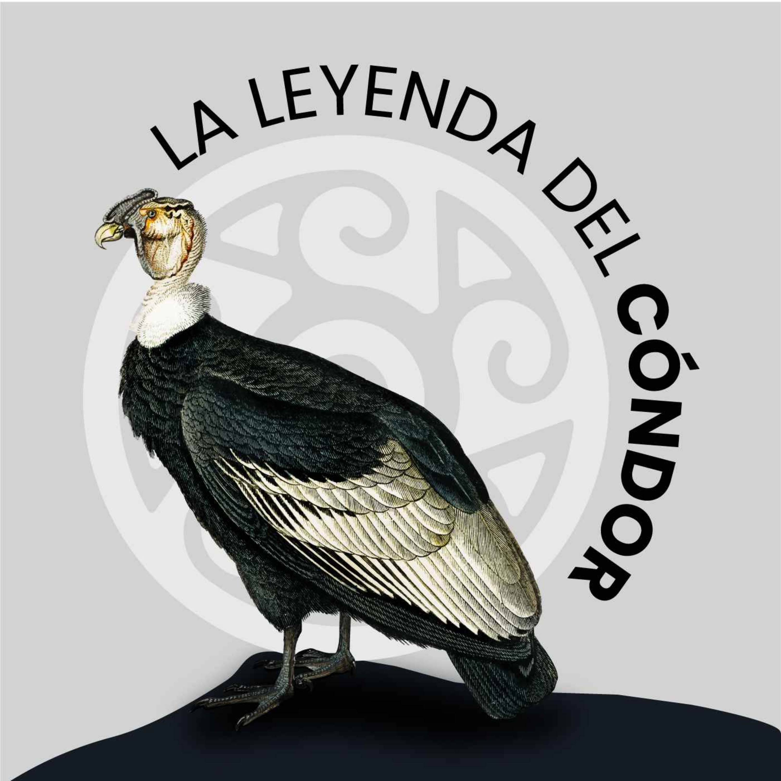 La leyenda del cóndor