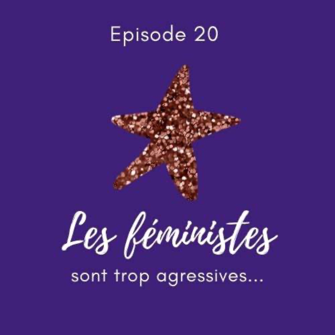 Le Féminisme expliqué à mon beauf