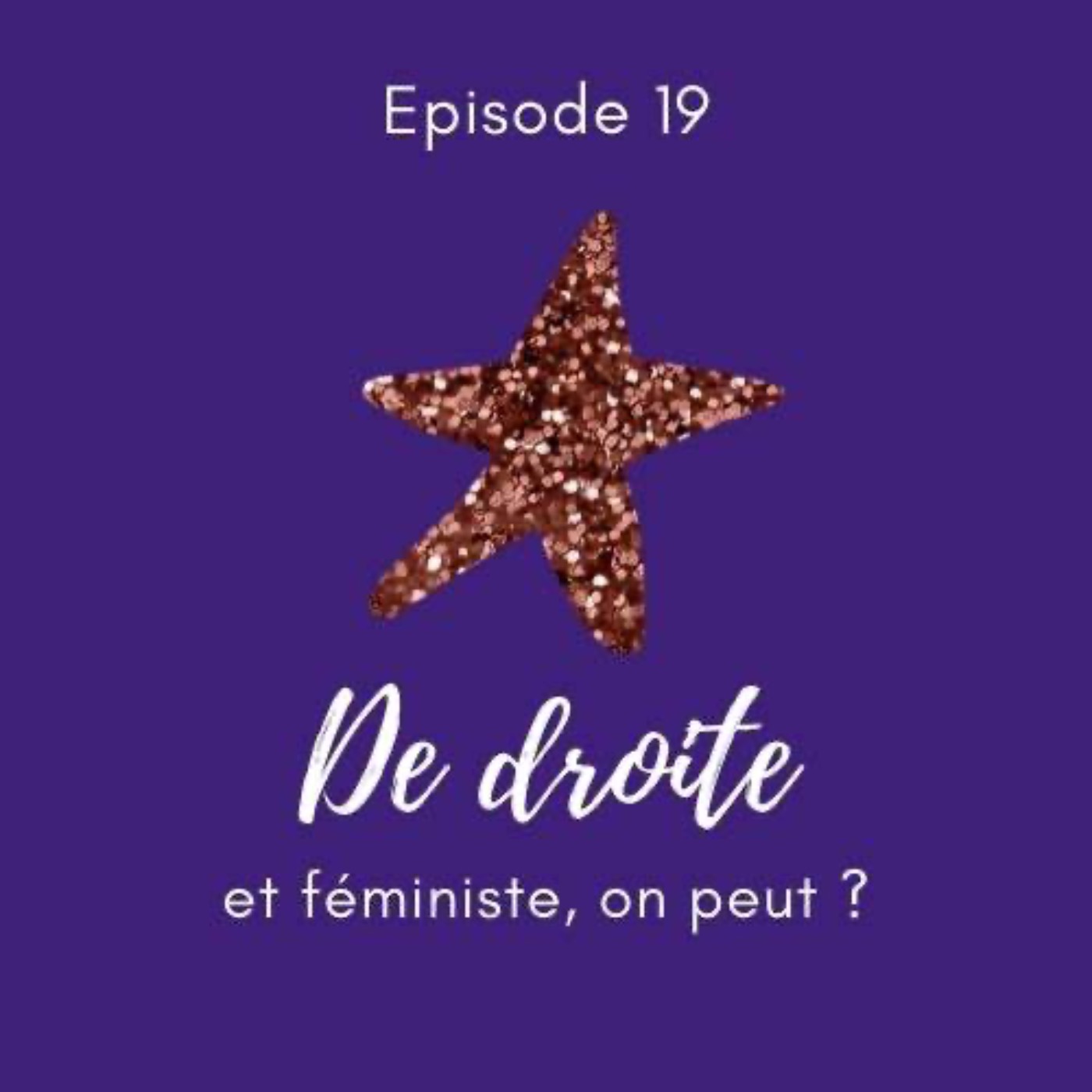 Le Féminisme expliqué à mon beauf