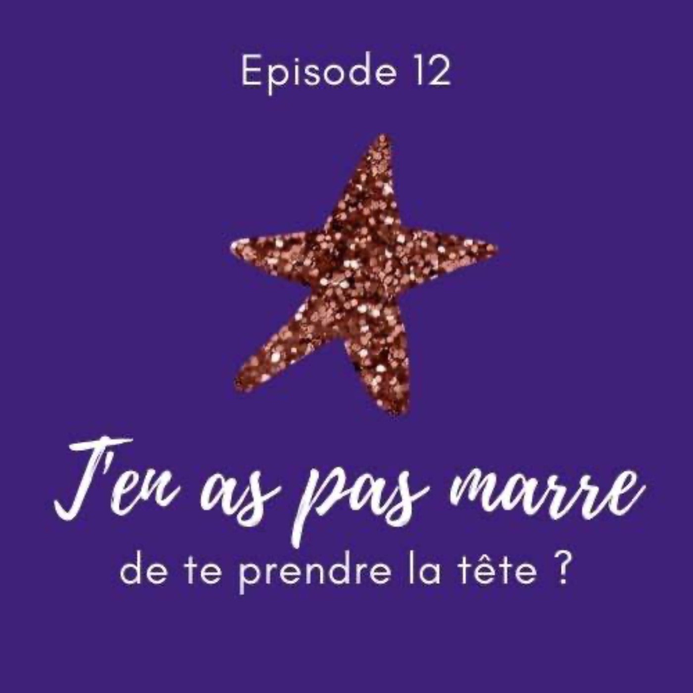 Le Féminisme expliqué à mon beauf