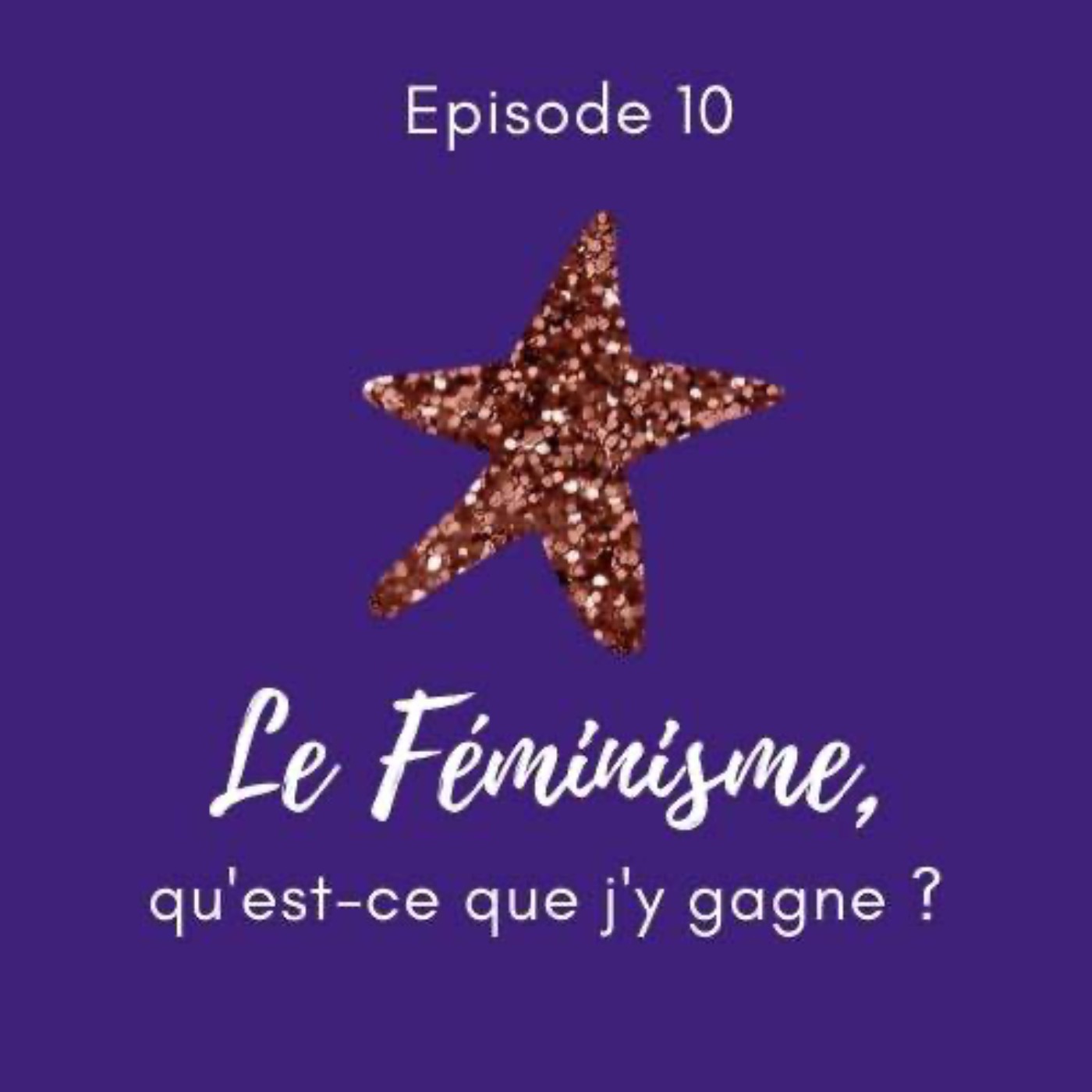 Le Féminisme expliqué à mon beauf