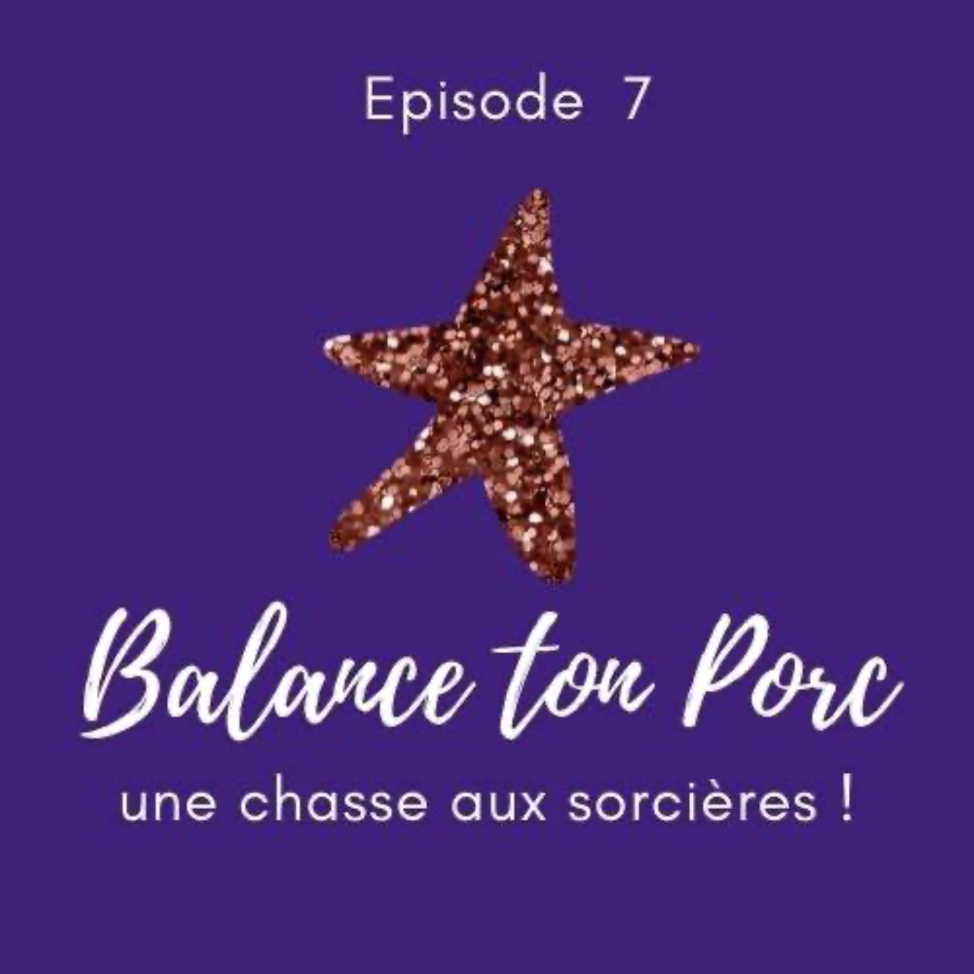 Le Féminisme expliqué à mon beauf