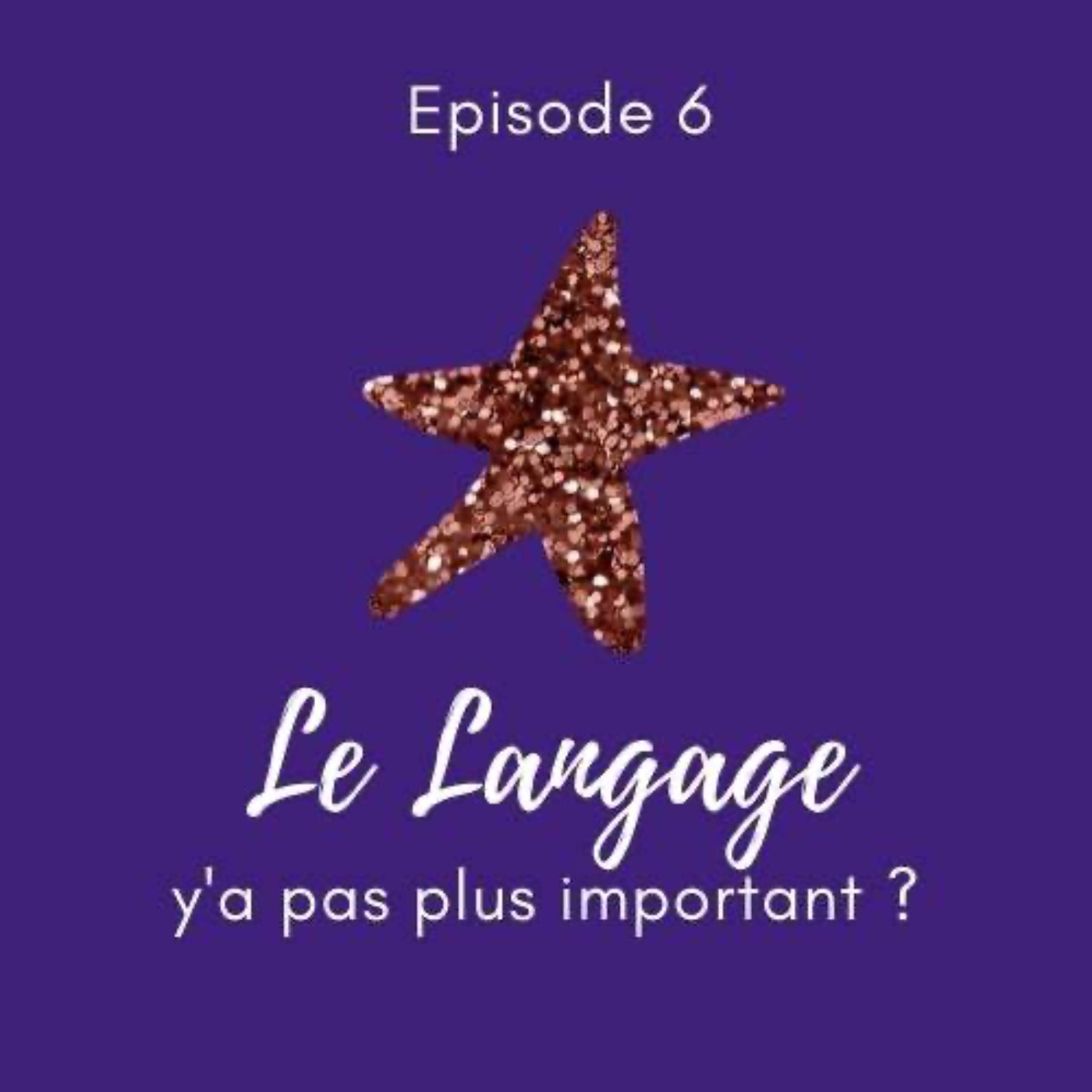 Le Féminisme expliqué à mon beauf