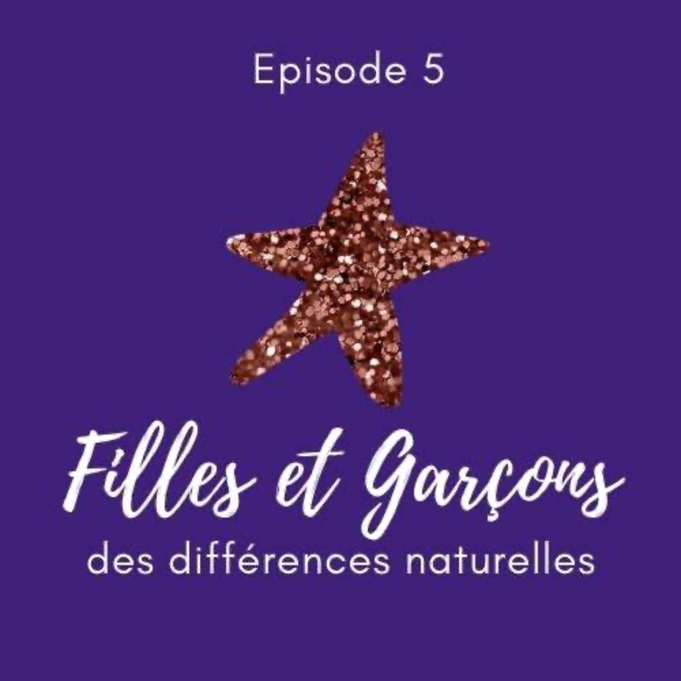 Le Féminisme expliqué à mon beauf