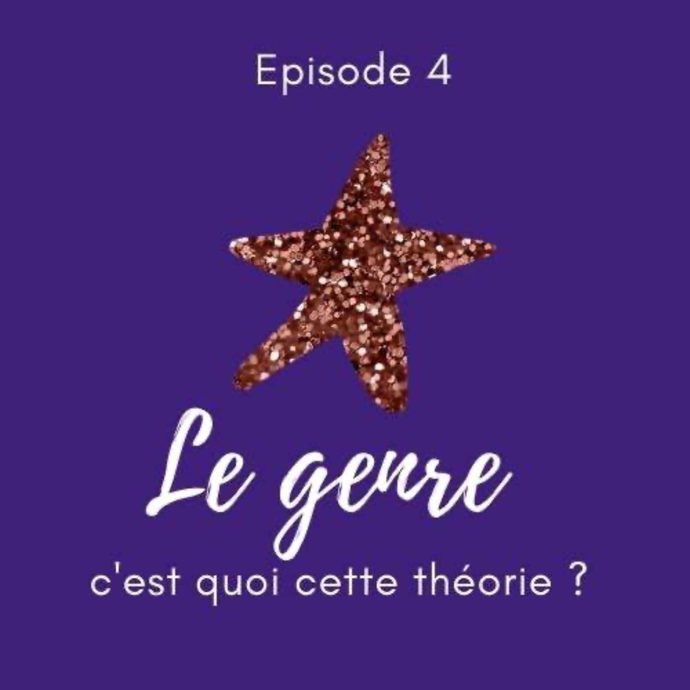Le Féminisme expliqué à mon beauf
