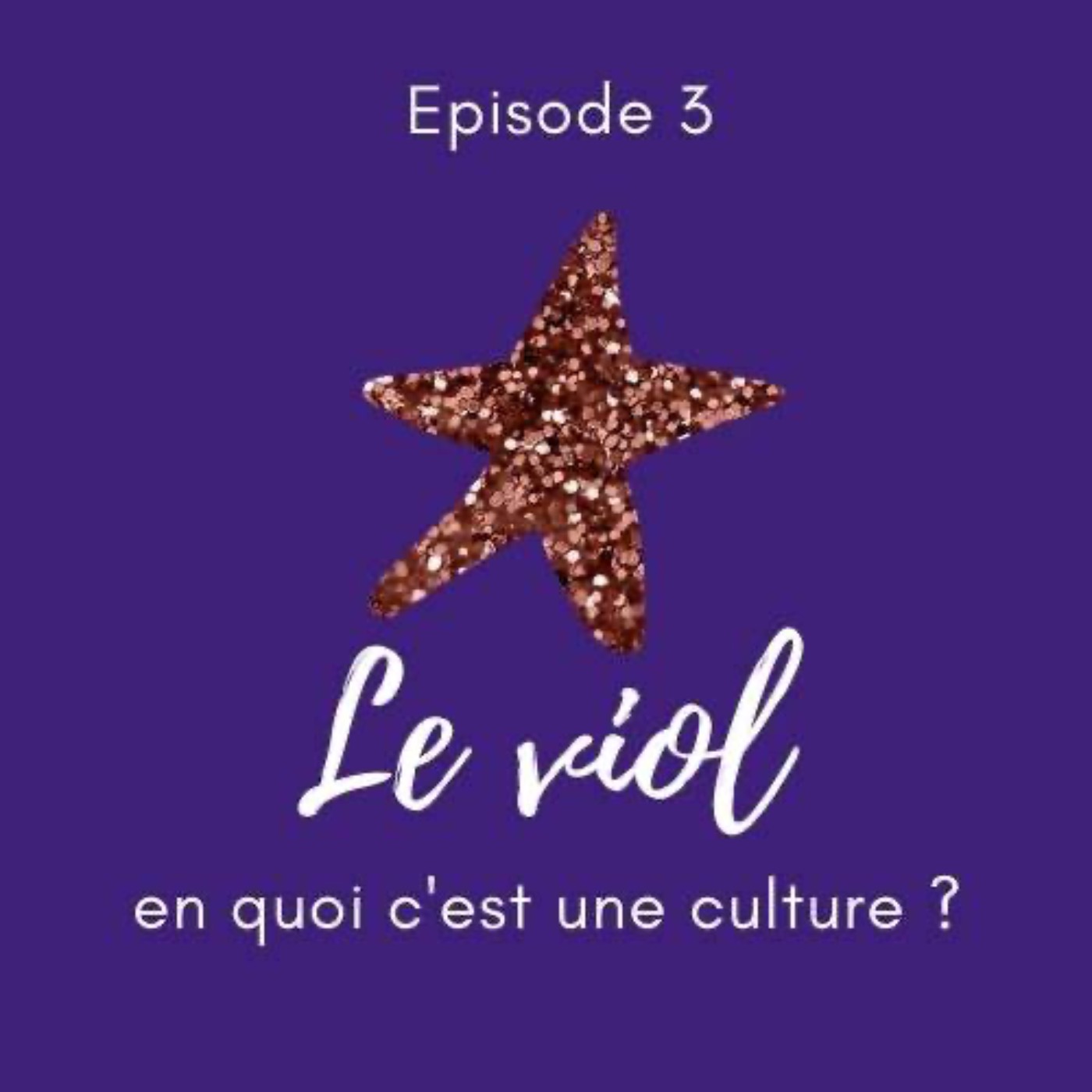 Le Féminisme expliqué à mon beauf