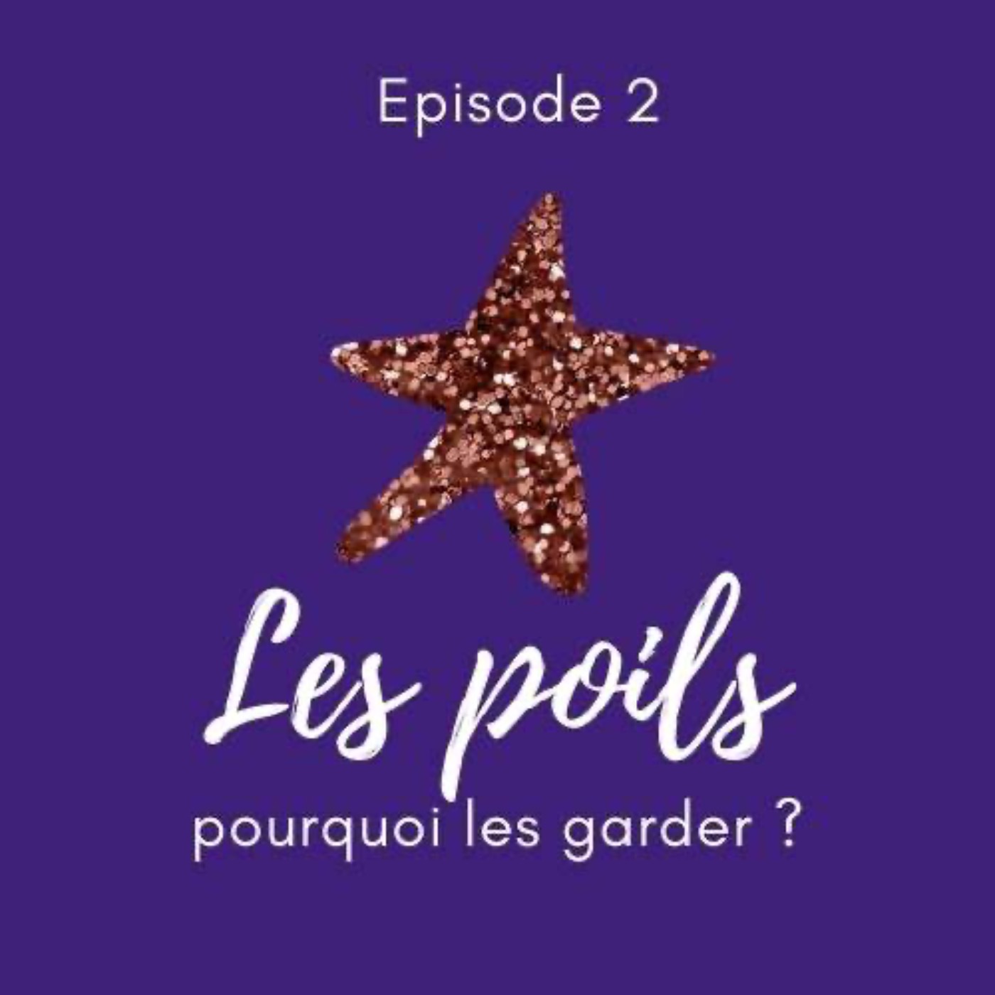 Le Féminisme expliqué à mon beauf