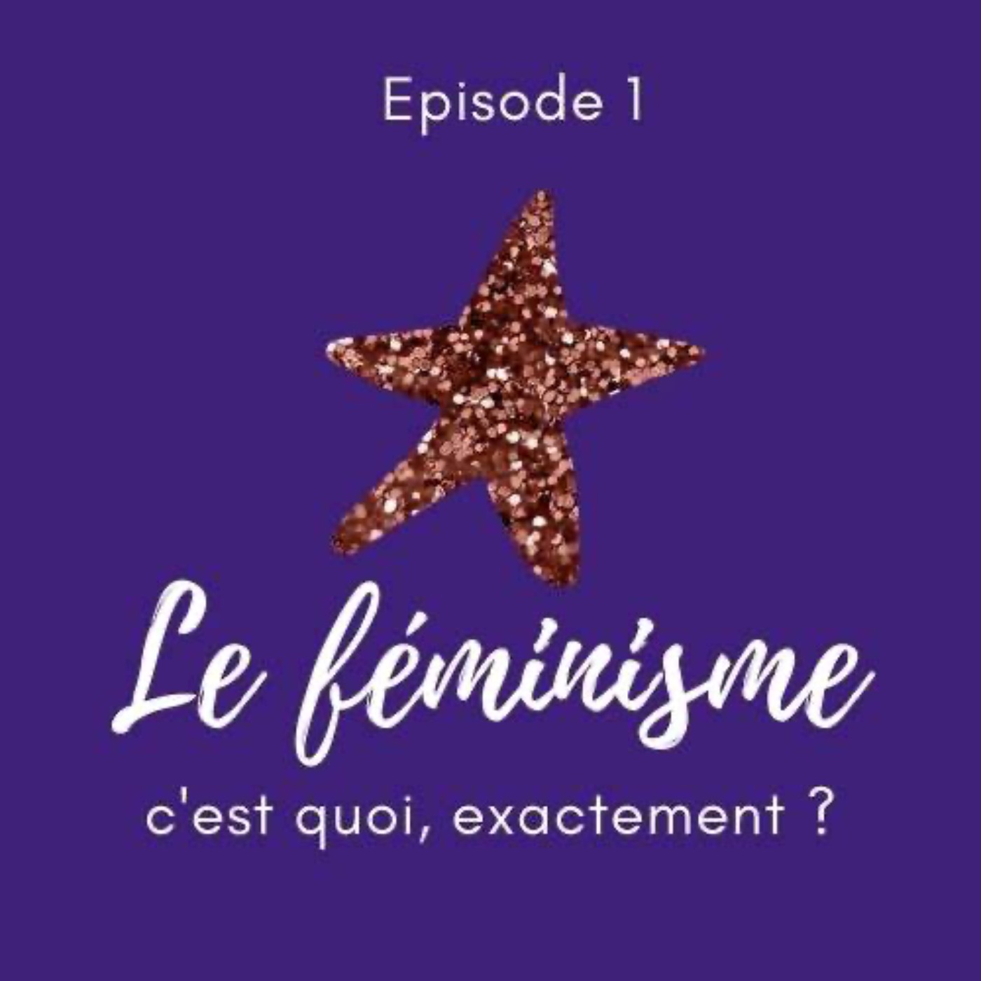 Le Féminisme expliqué à mon beauf