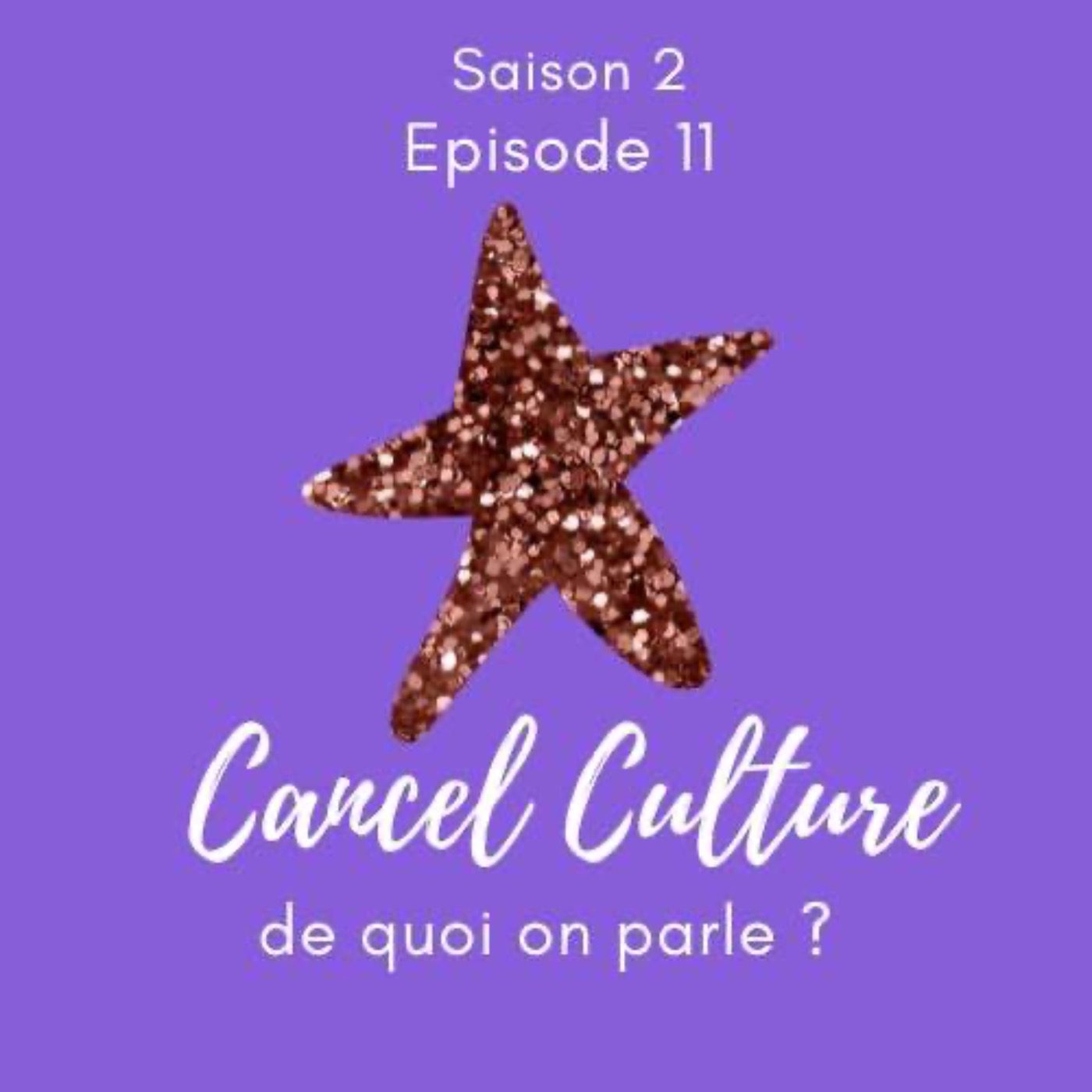 Le Féminisme expliqué à mon beauf