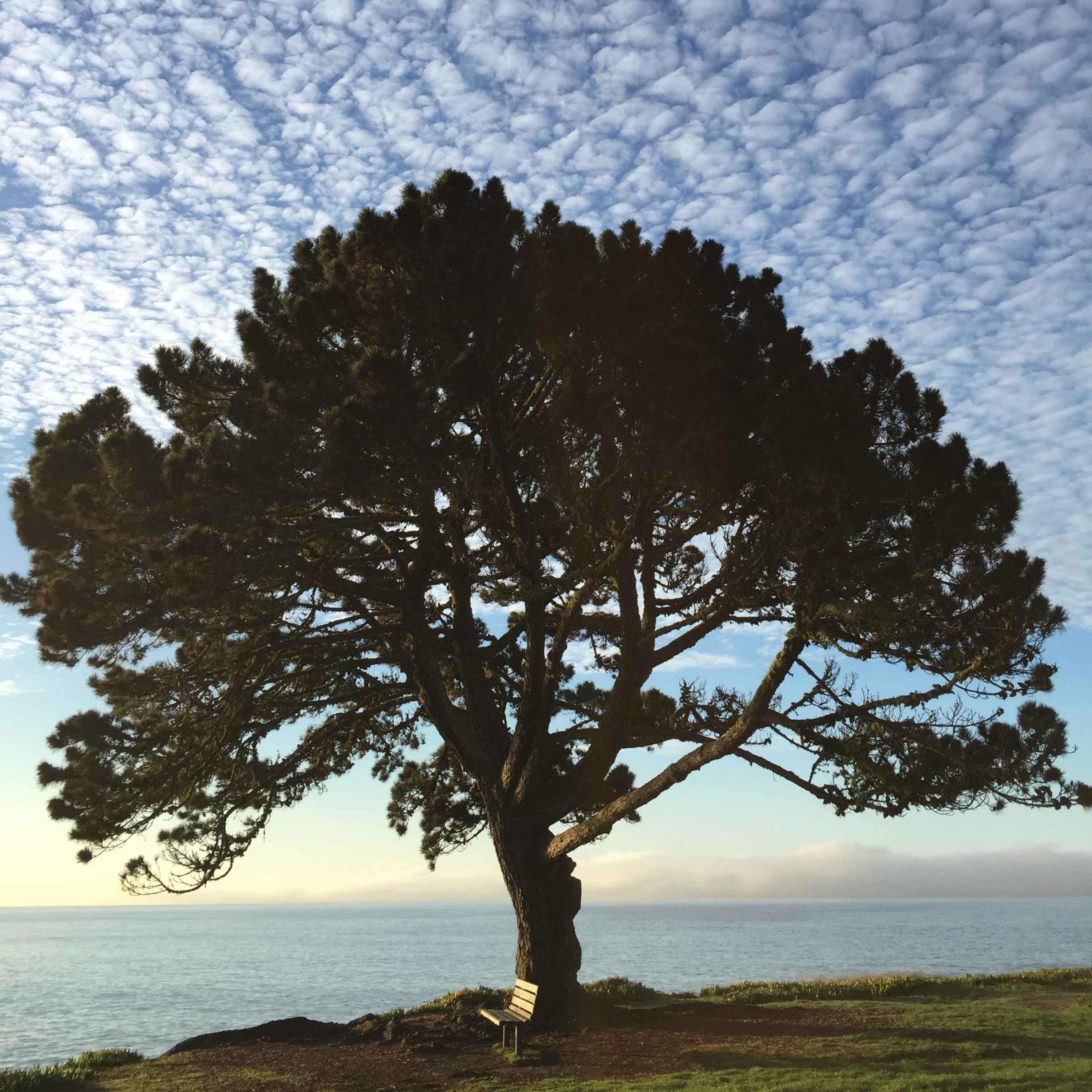 Oh Humanity cover art