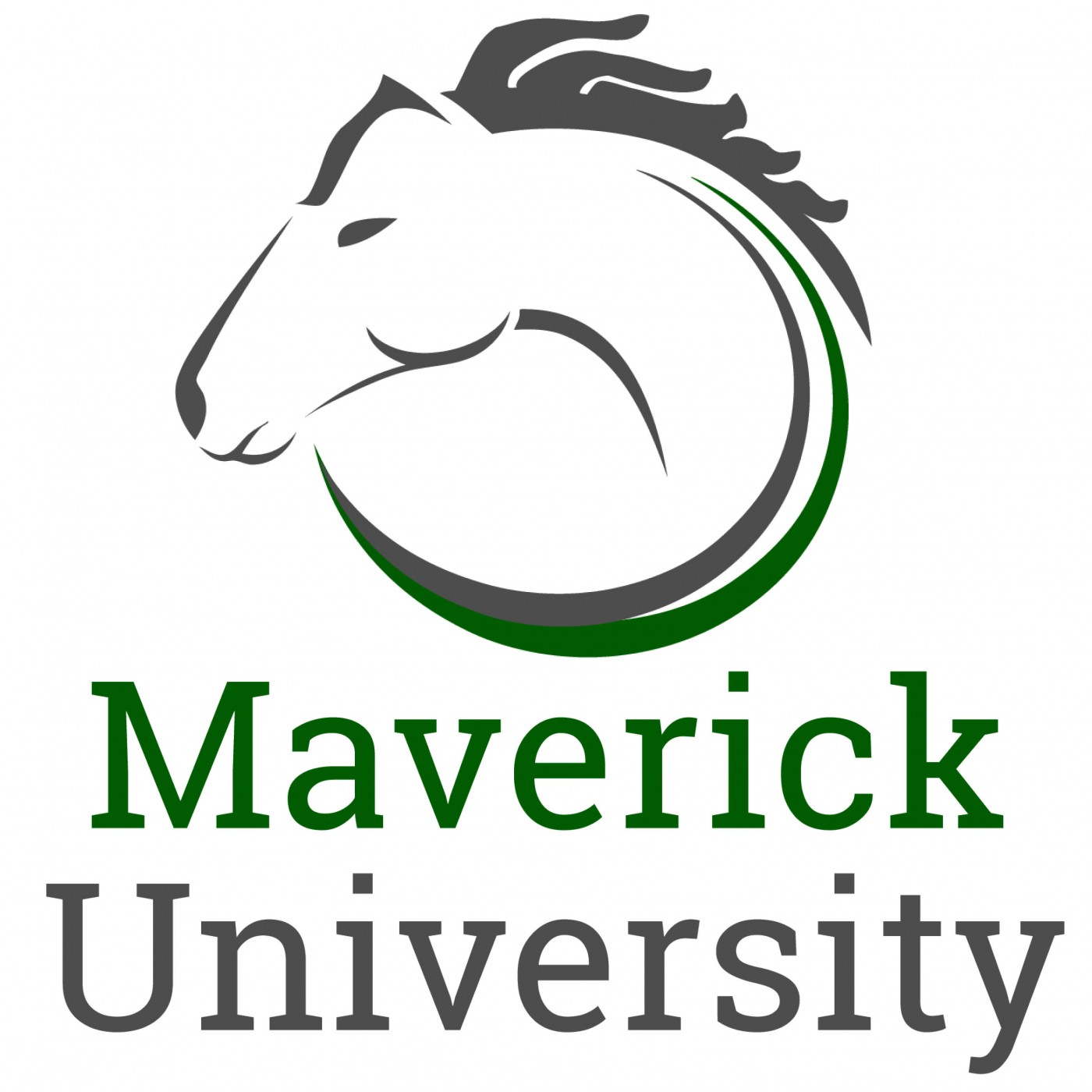 Maverick University