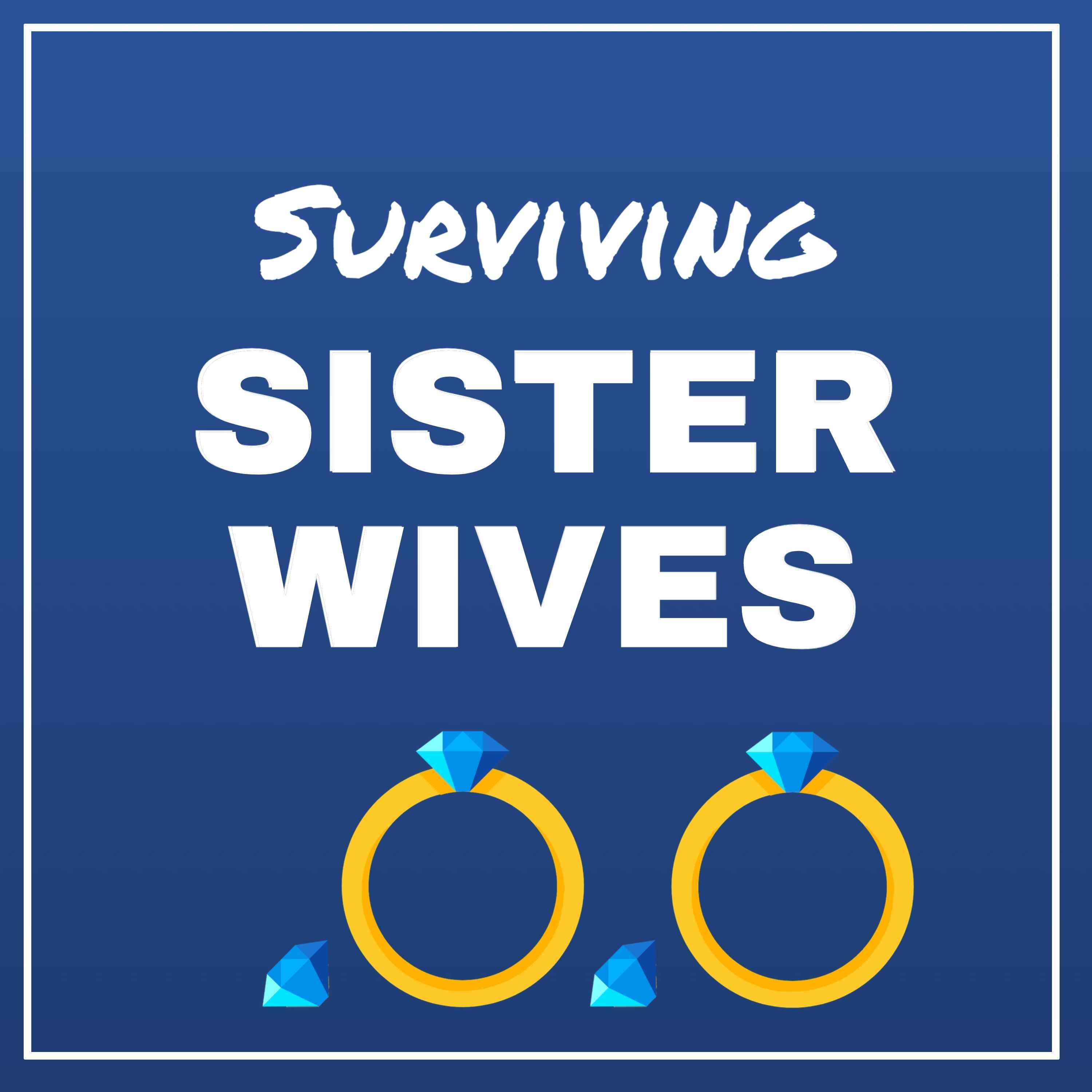 cover art for Ep 213: Sister Wives S18:E17