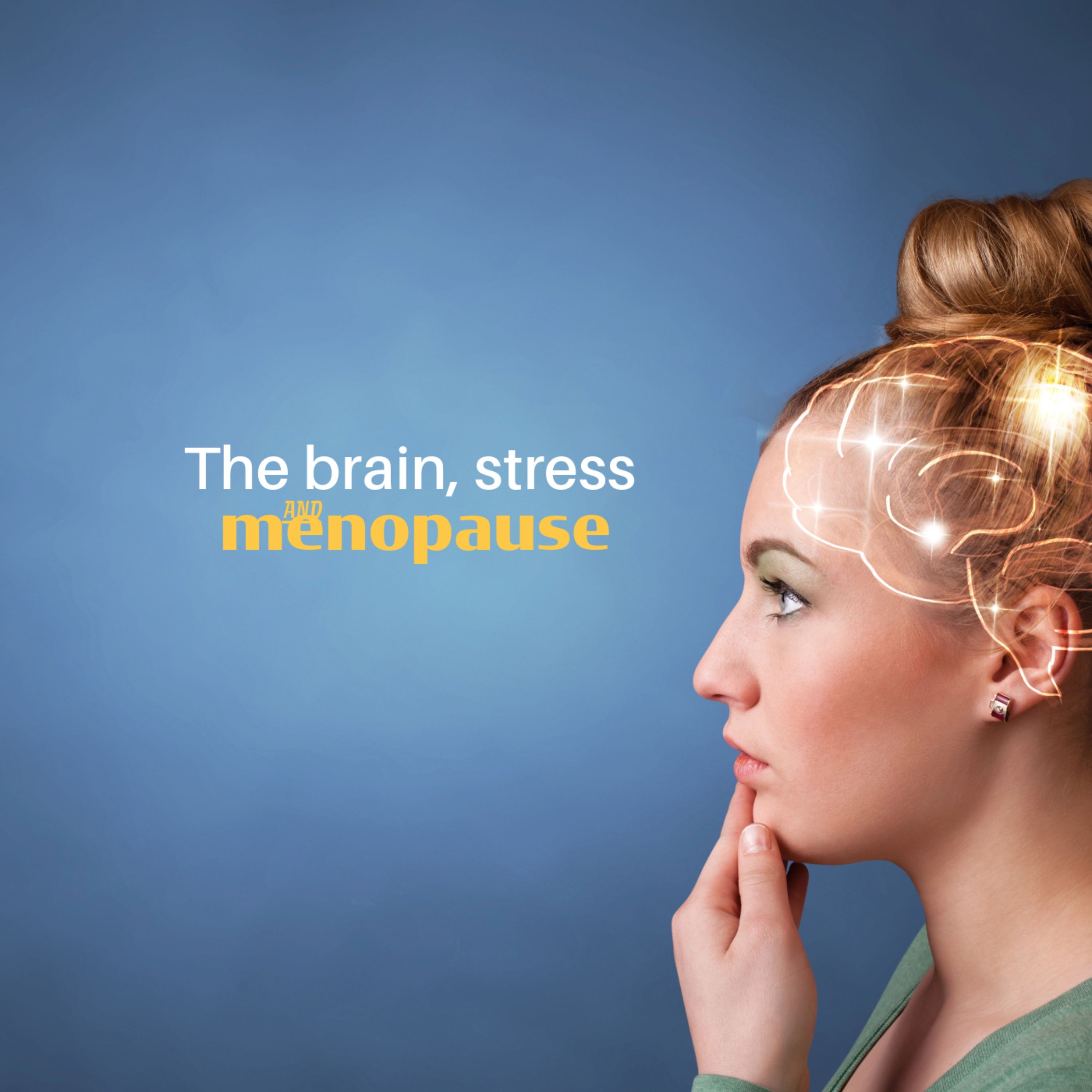 Unveiling the Intricacies of Stress, the Brain and Menopause