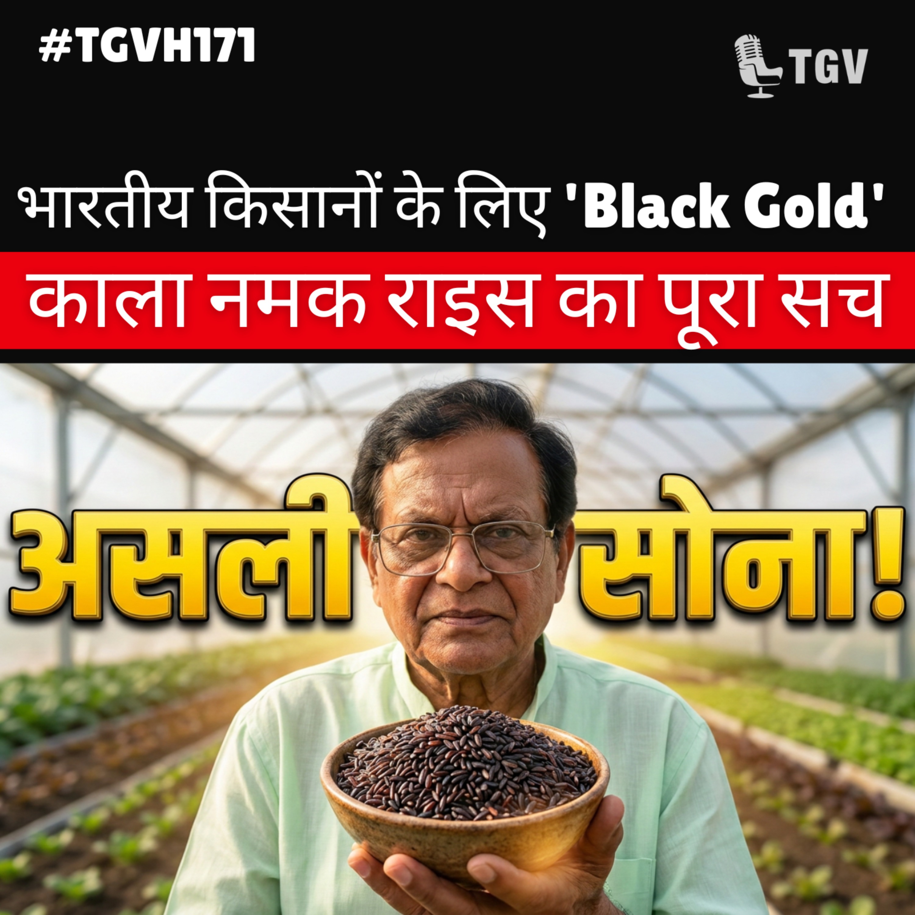 Kala Namak Rice: खेती का वो 'हीरा' जो बदल देगा किसानों की किस्मत! 💎🌾 | Ram Chaudhary | #TGVH171 episode artwork