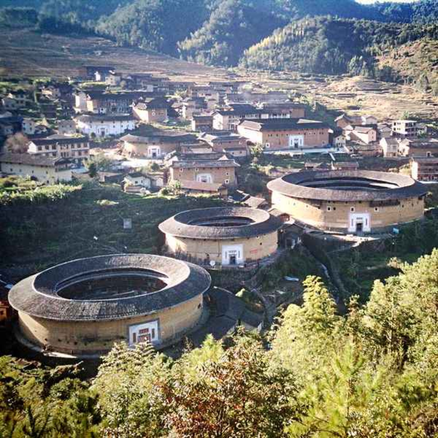 The Chinese Revolution