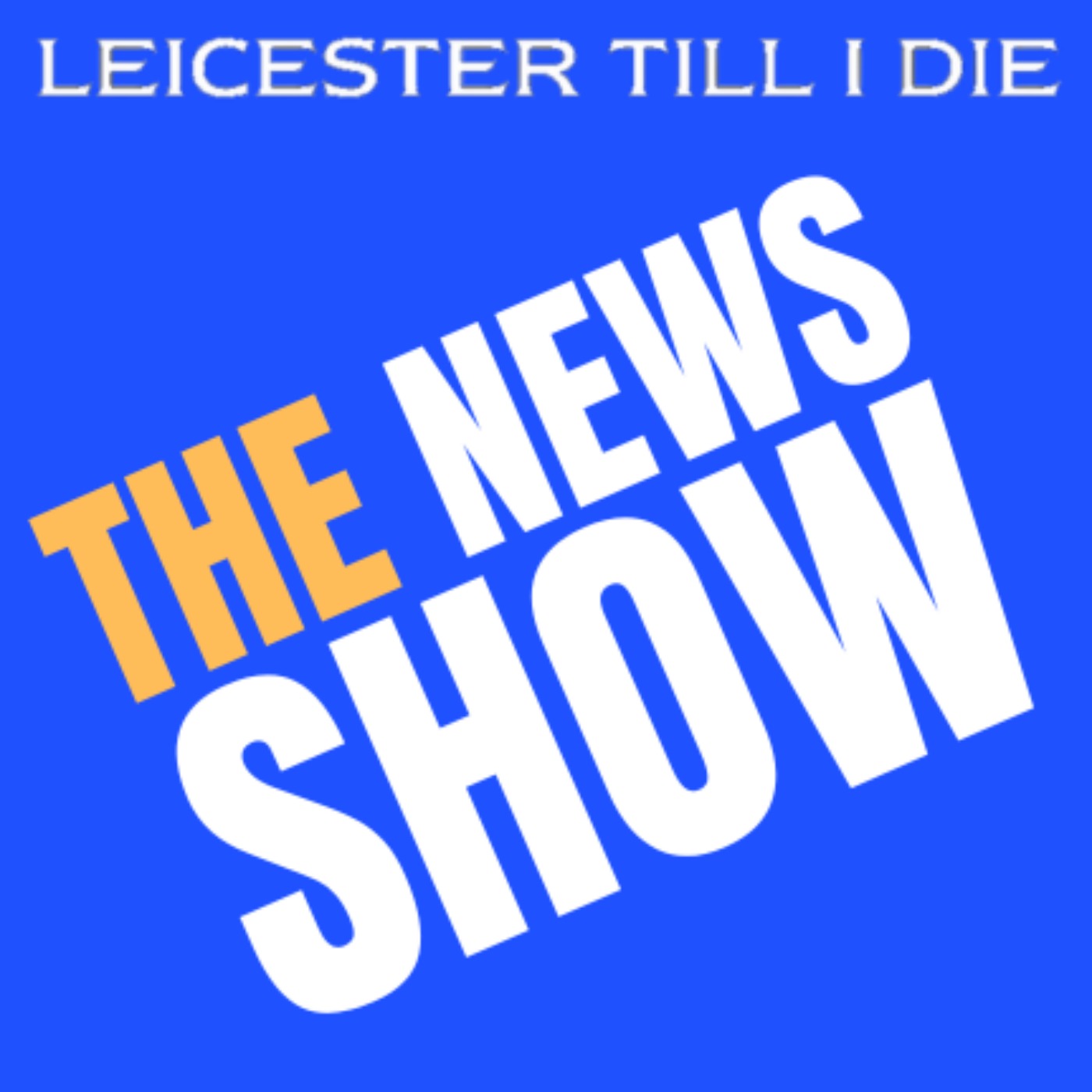 Leicester and The Efl, Transfer Embargo Mooted?