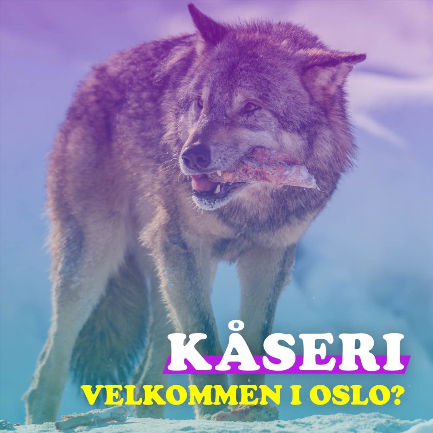 Kuriøse Kåserier