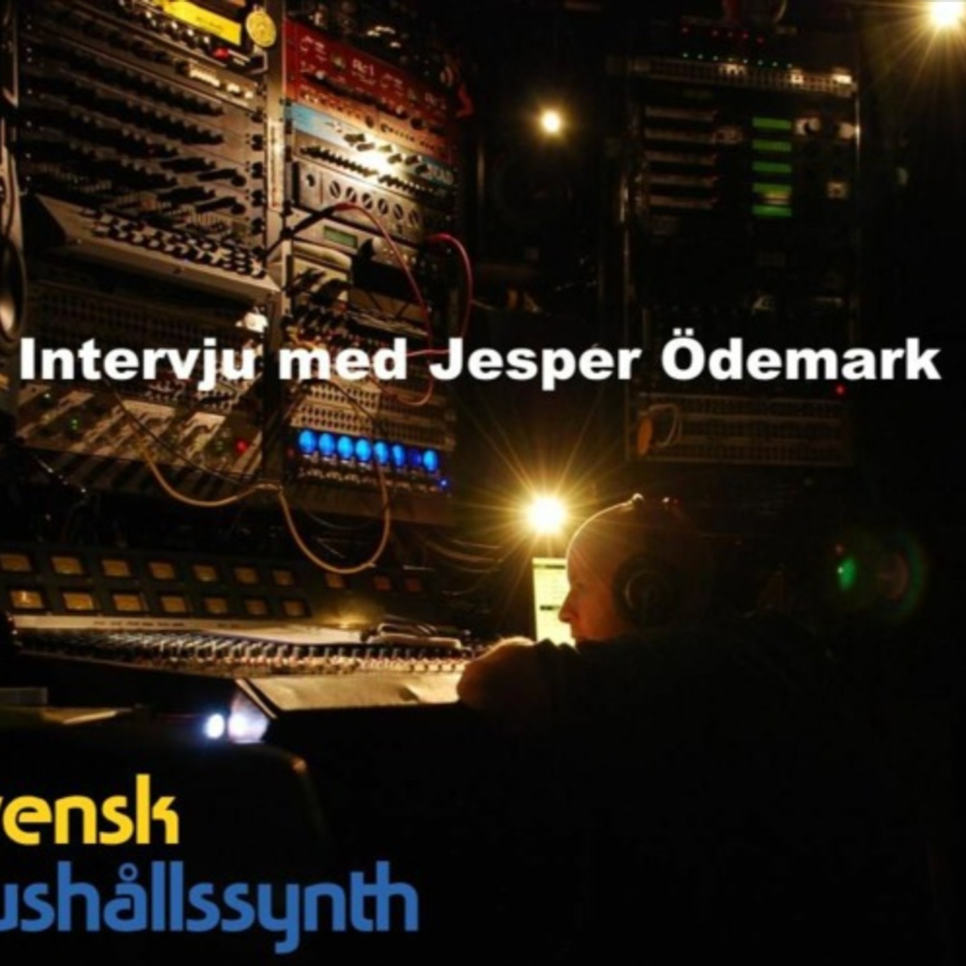 SHS Intervjuer