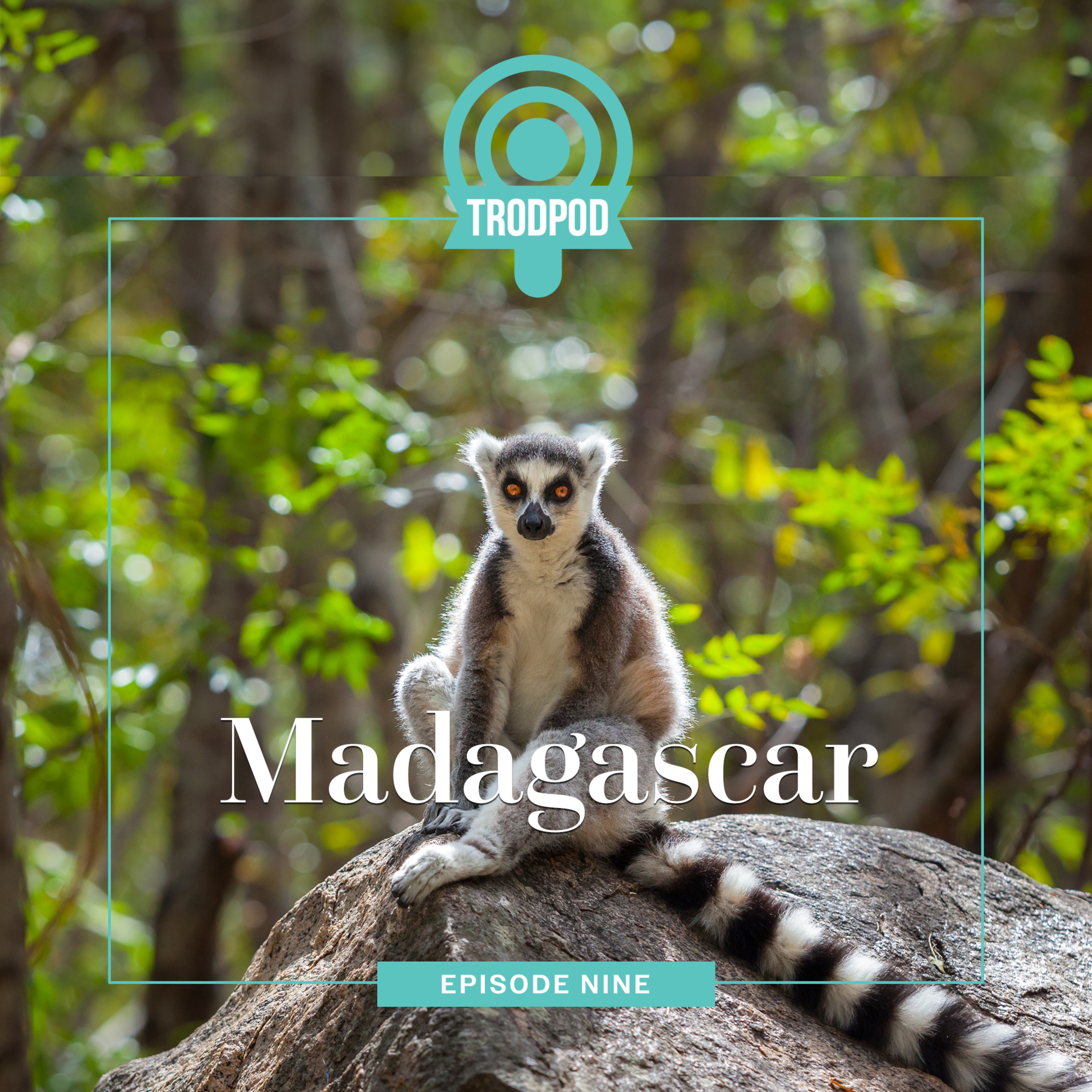 TrodPod
