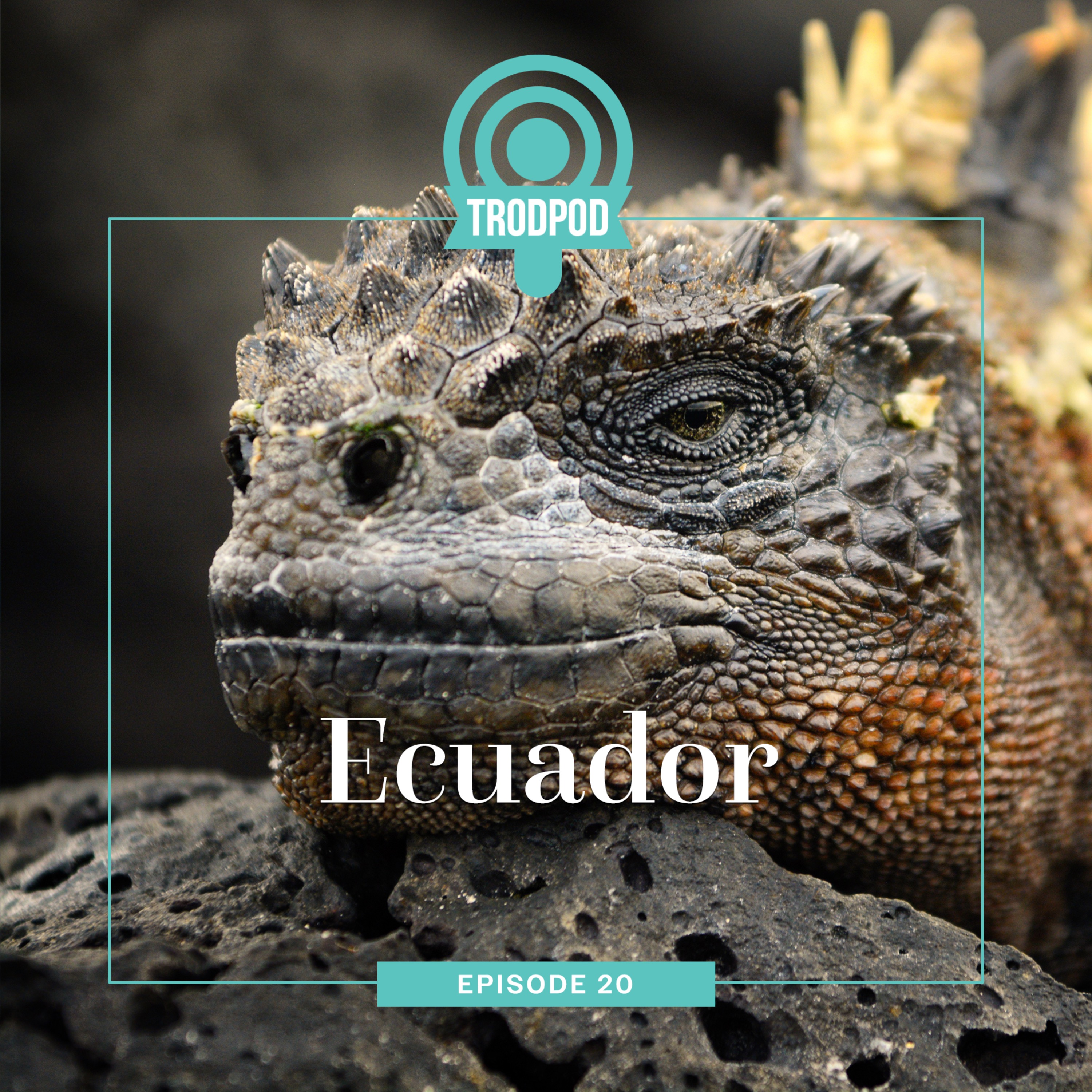 TrodPod