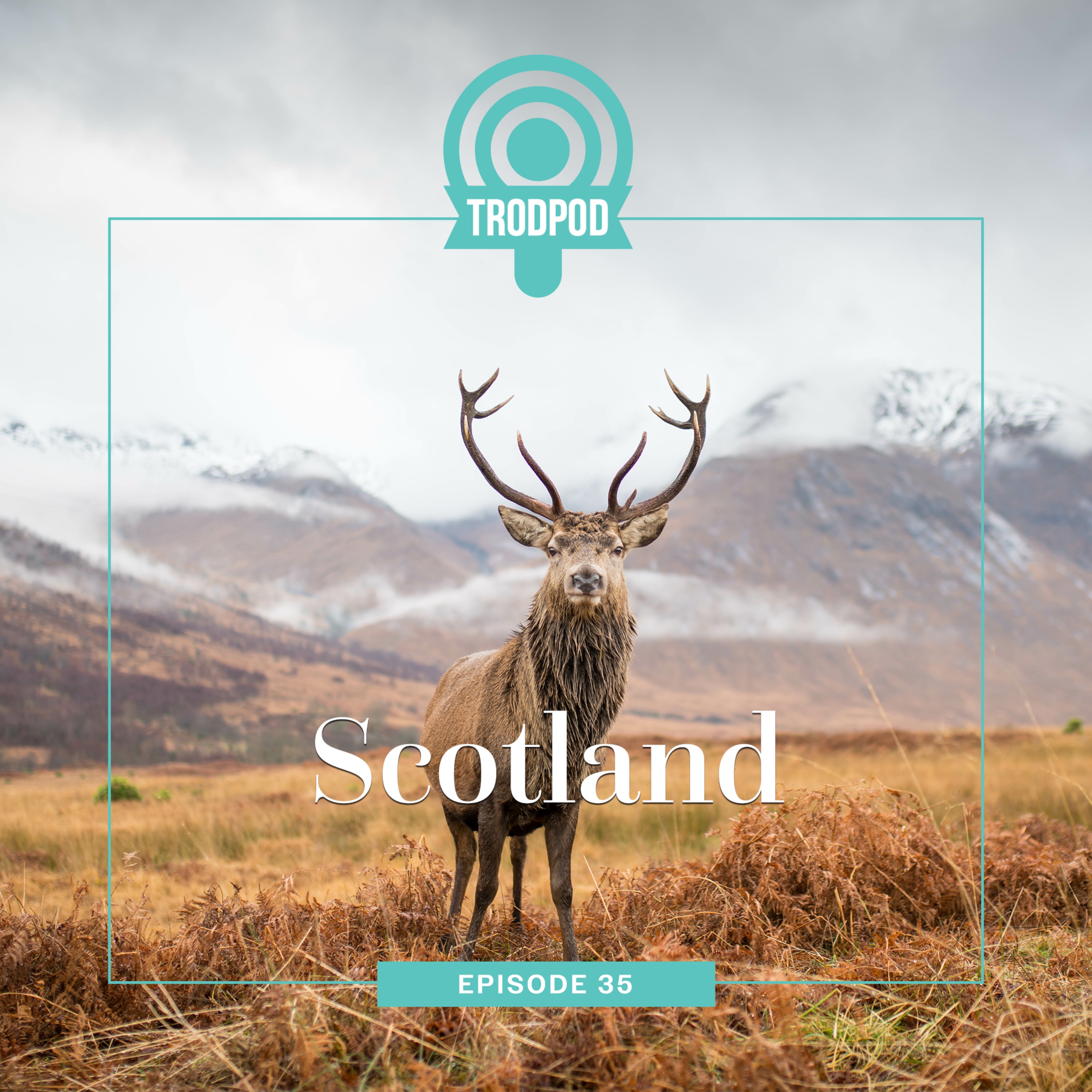 TrodPod