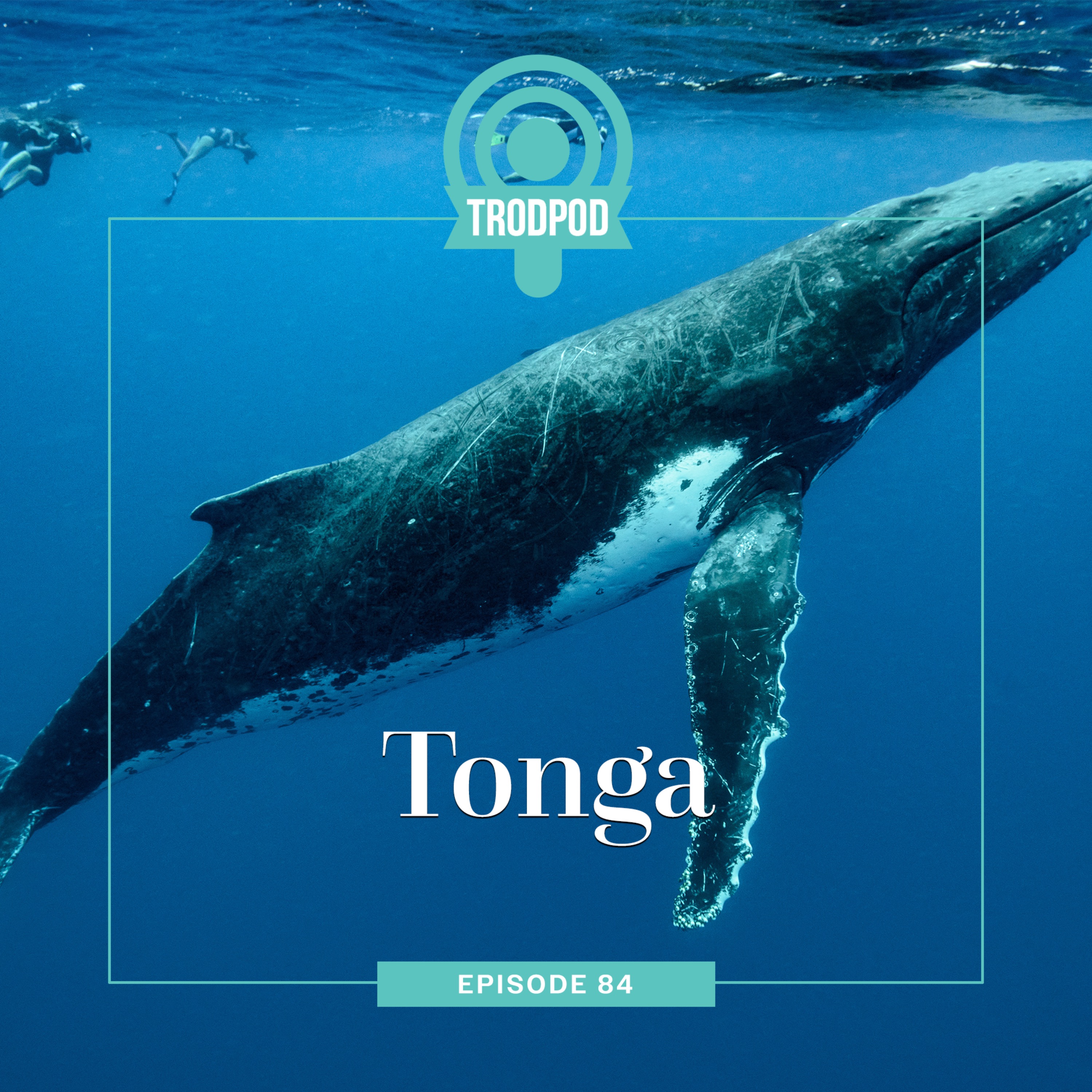 TrodPod: Tonga episode artwork