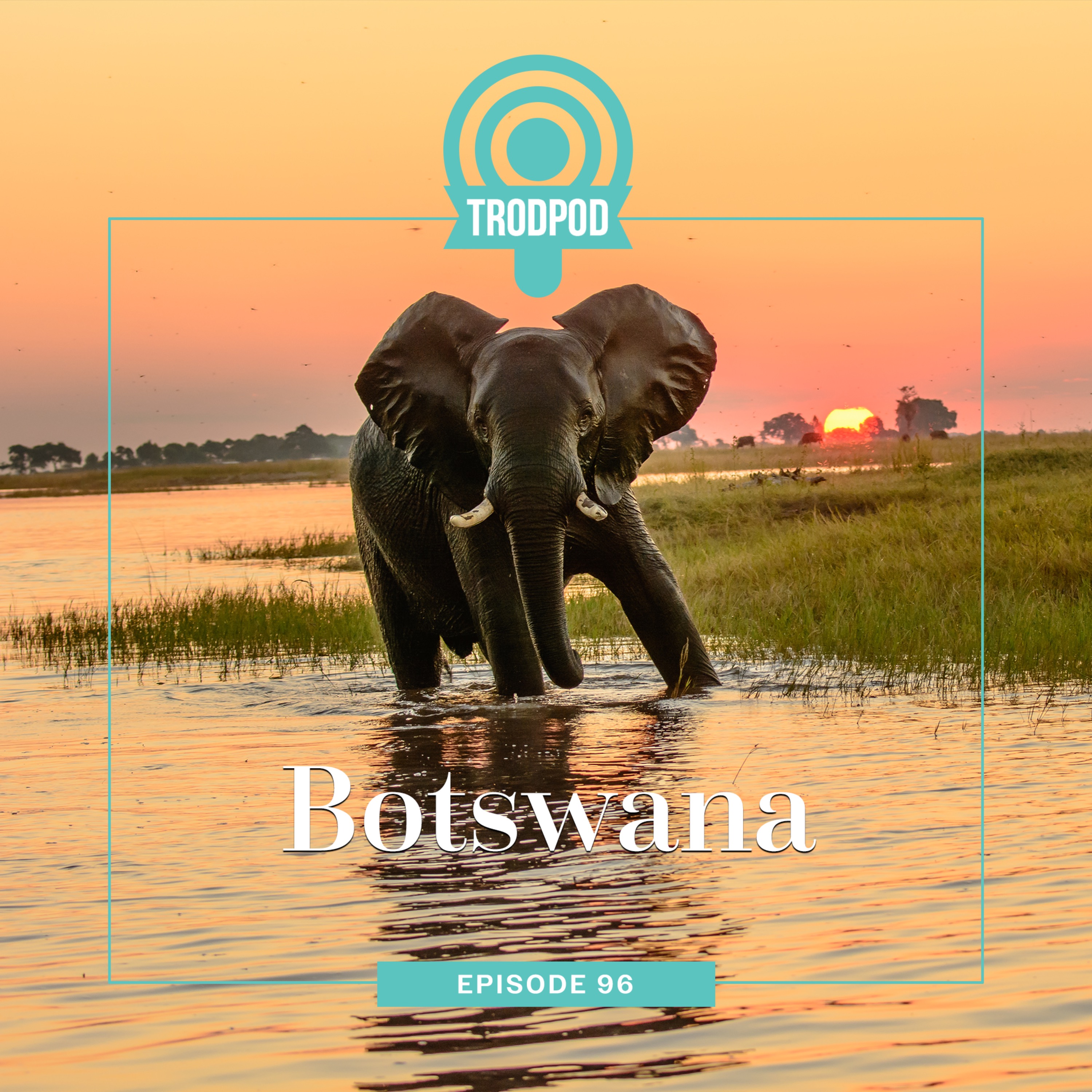 TrodPod: Botswana episode artwork