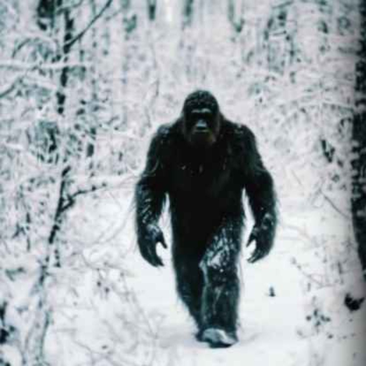 10 TRUE SCARY CRYPTID HITMAN HORROR STORIES