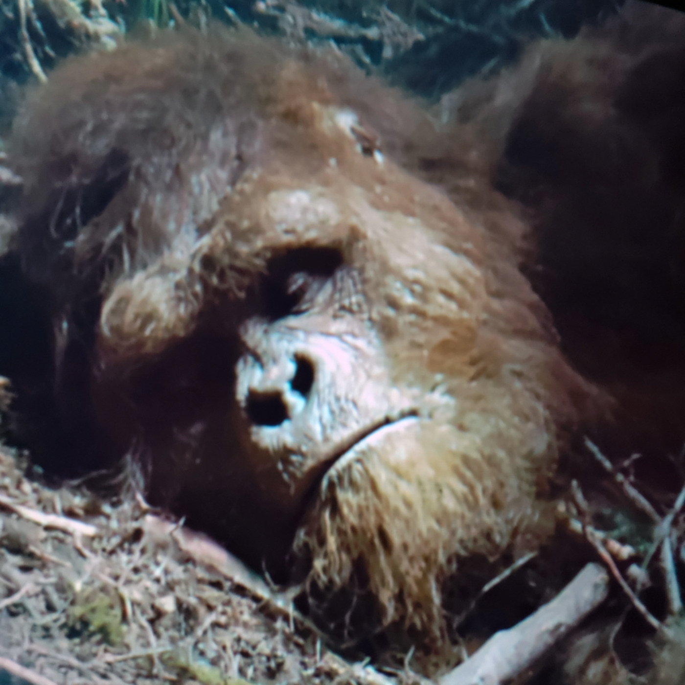 11 TRUE SCARY NAVY SEAL HORROR STORIES