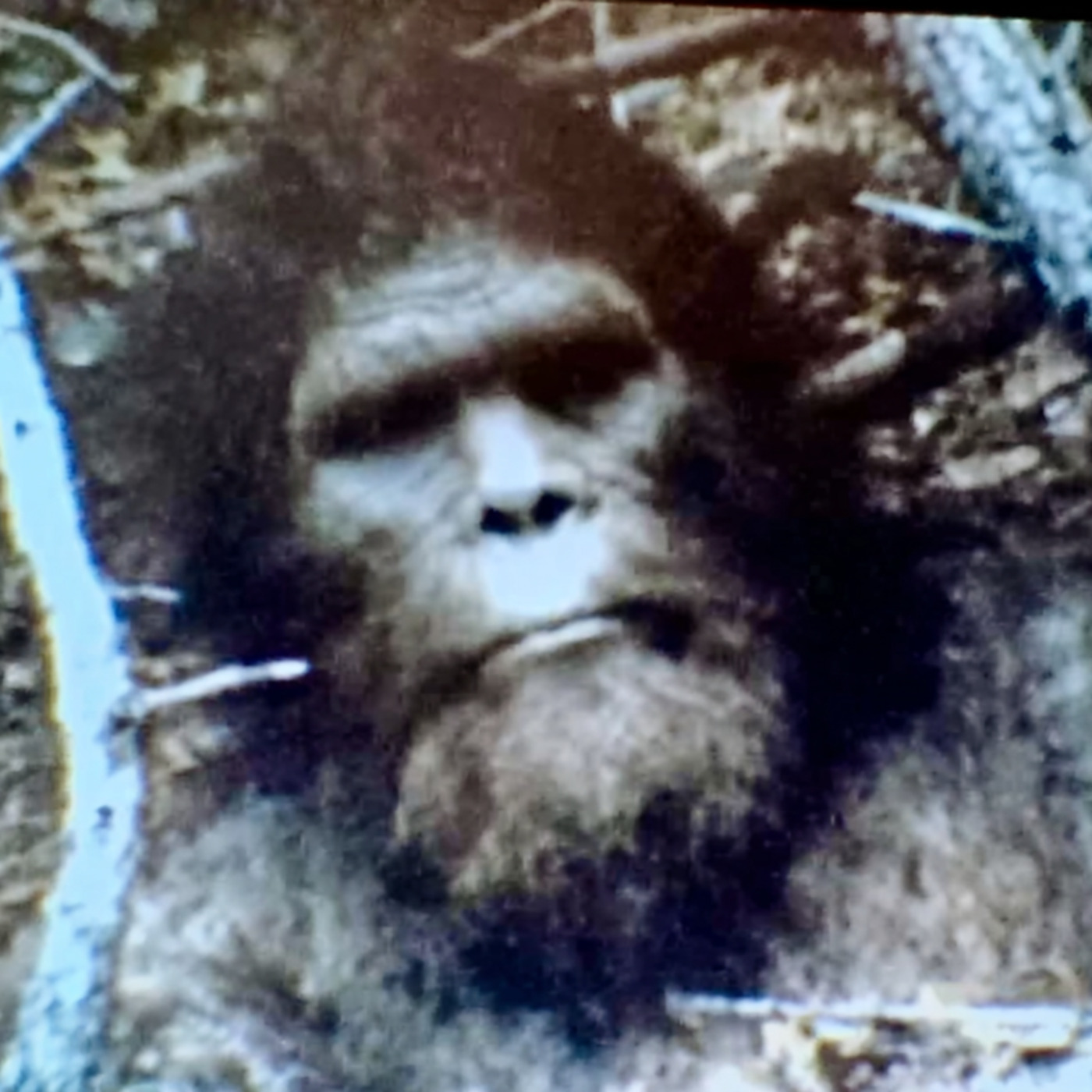 I'm a Navy SEAL Who Hunts DOGMAN. There Is A NEST Of Cryptids in Badlands National Park, South Dakota.